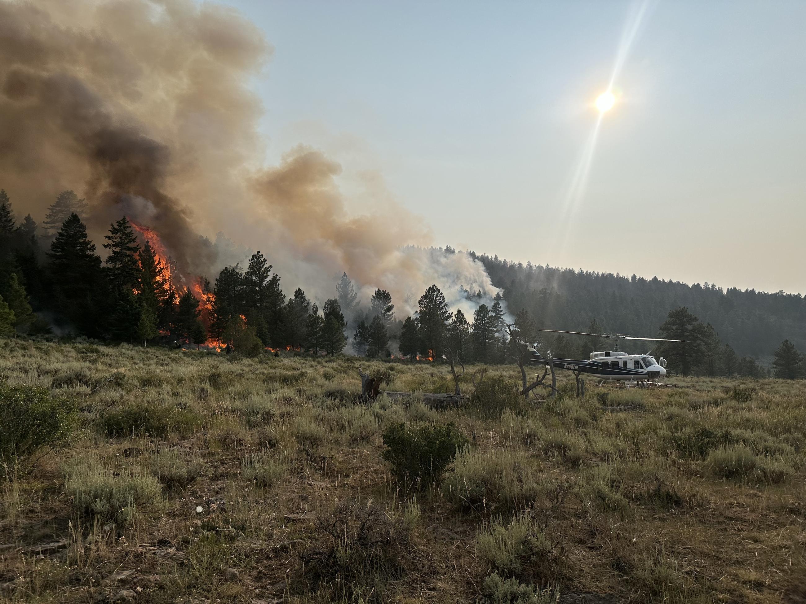 Firing operation near Spruce Meadows Spike