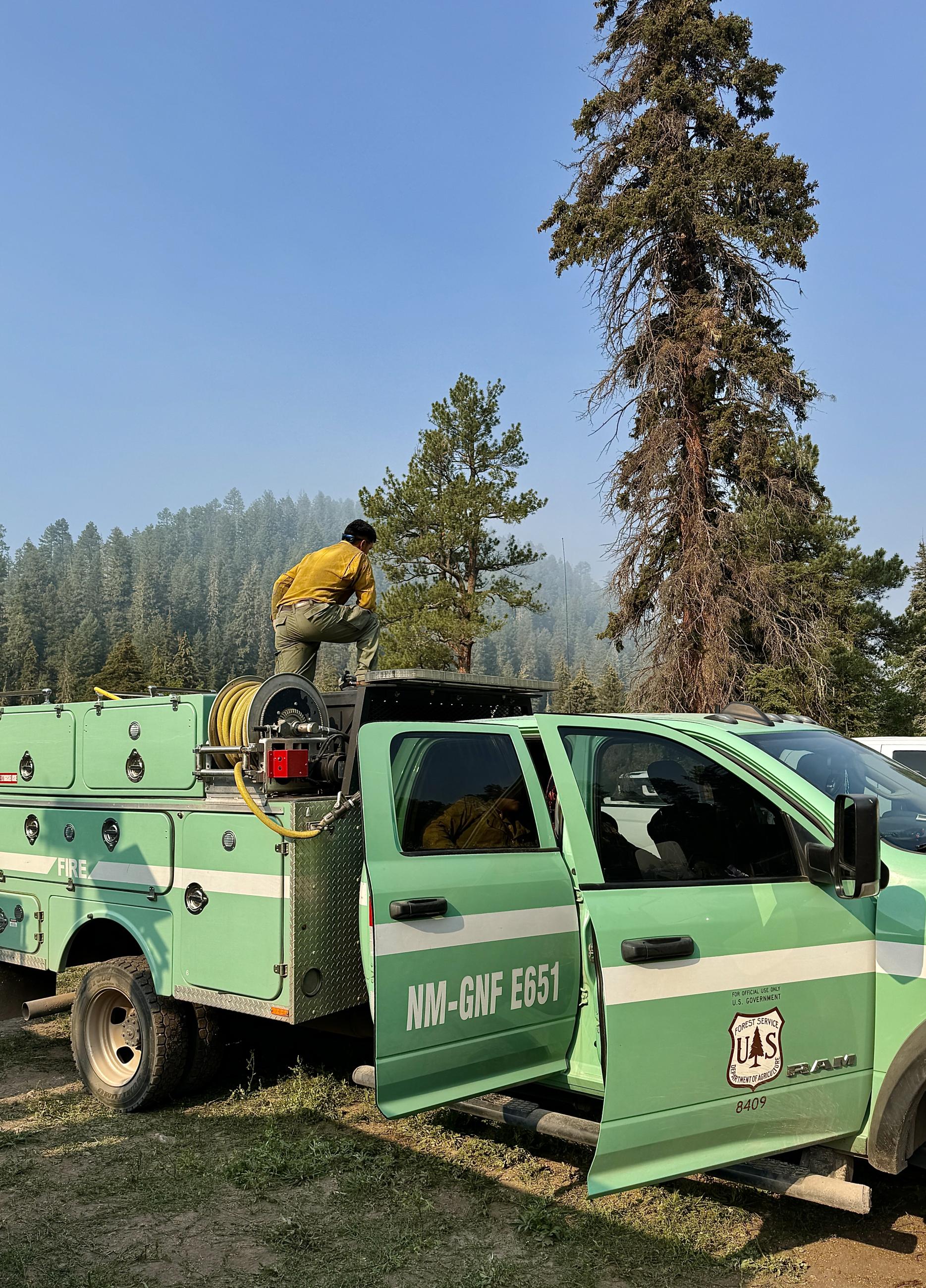Green fire vehicle from the Gila National Forest with firefighter in yellow fire shirt in the pickup bed.