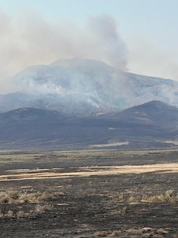Wildfire smoke rises over a mountain range, with a grassland in the foreground
