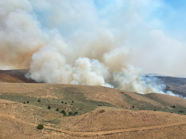 Wildfire smoke rises above a grassland 