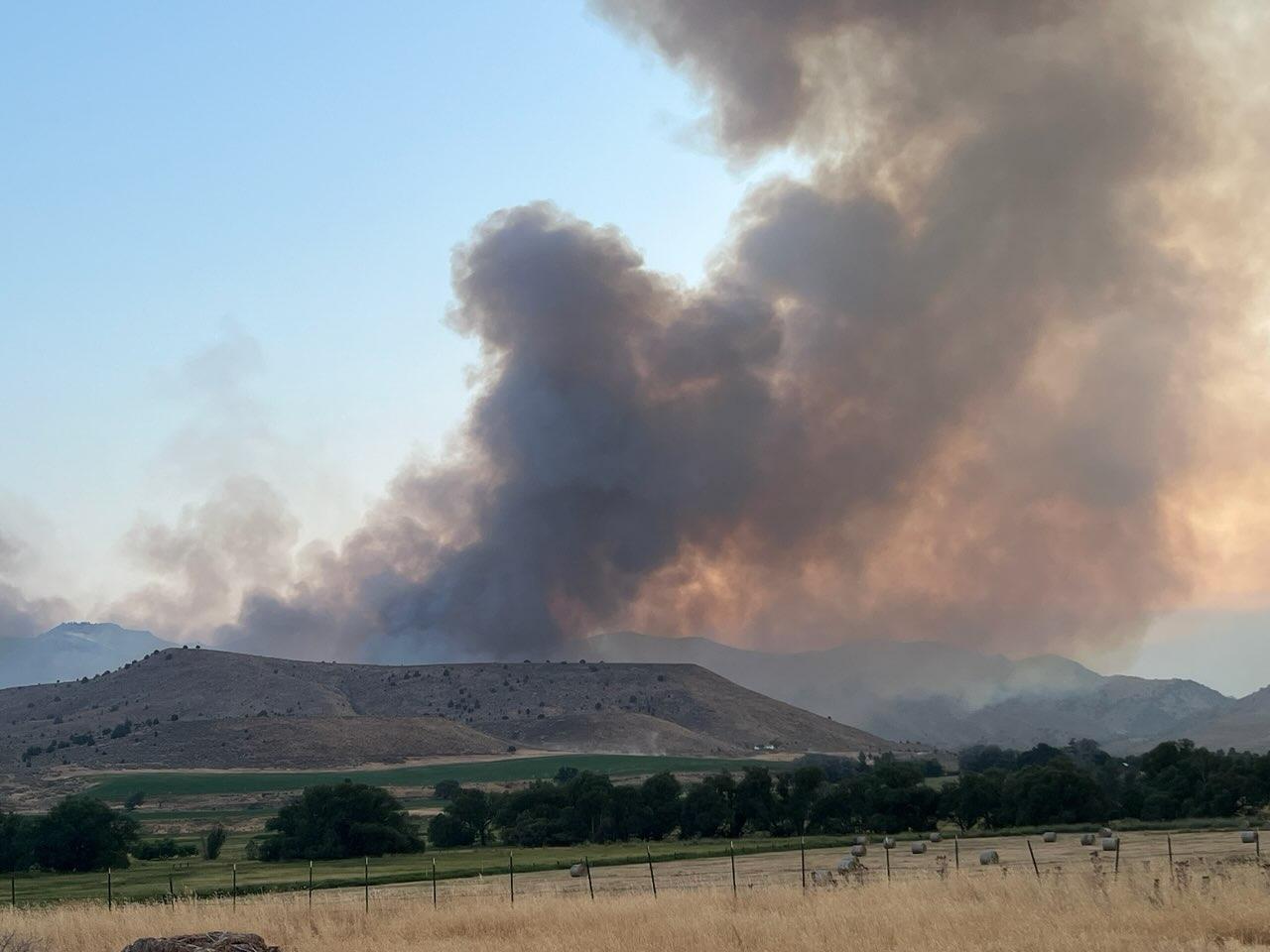Photo of smoke column behind hills, trees and pasture.