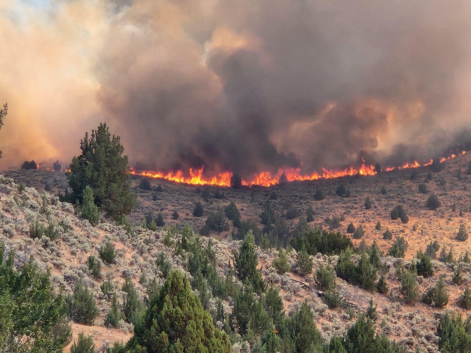 Image of fire in sage and Juniper.