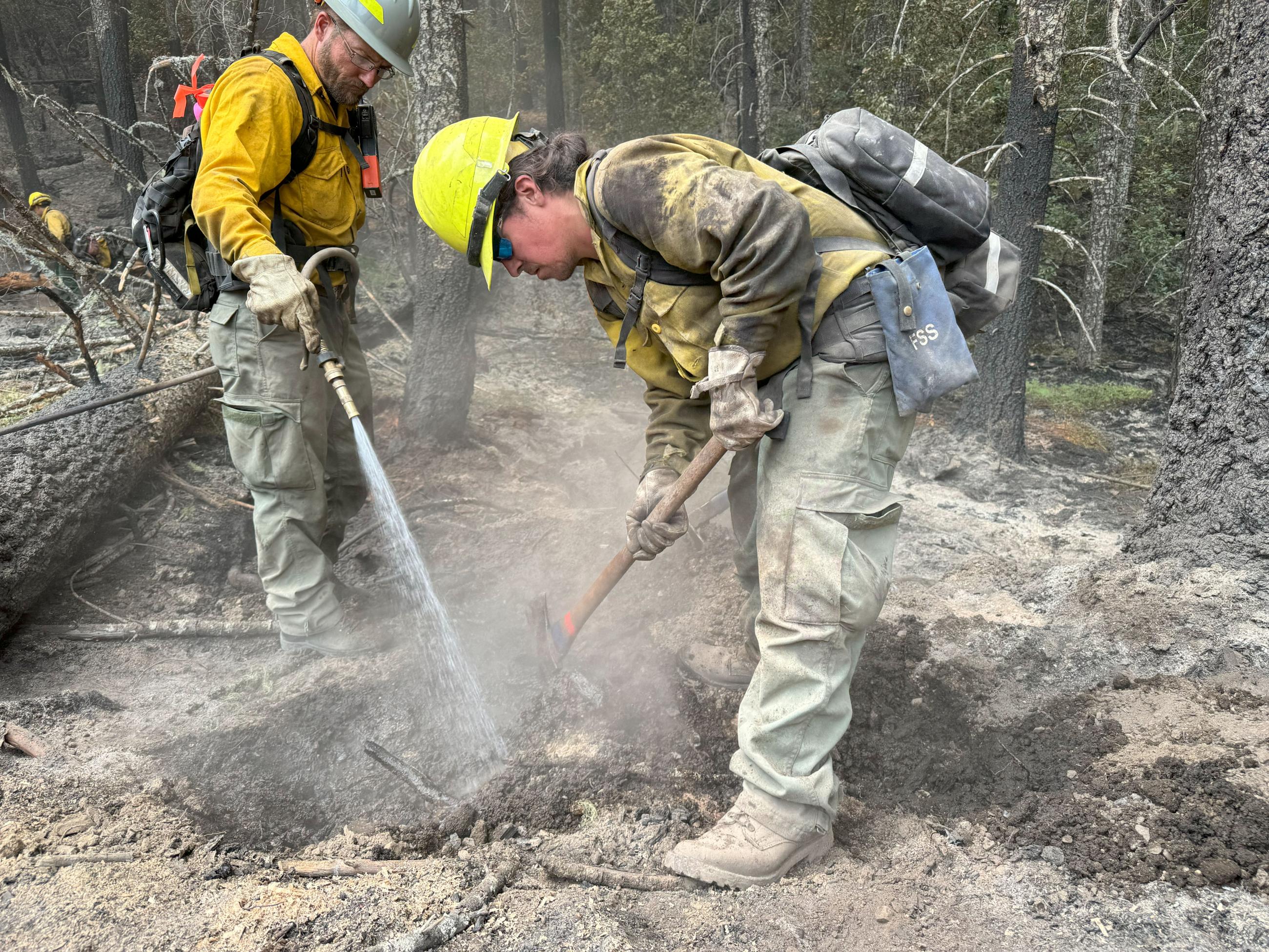 firefighters are working along side the road in the forest