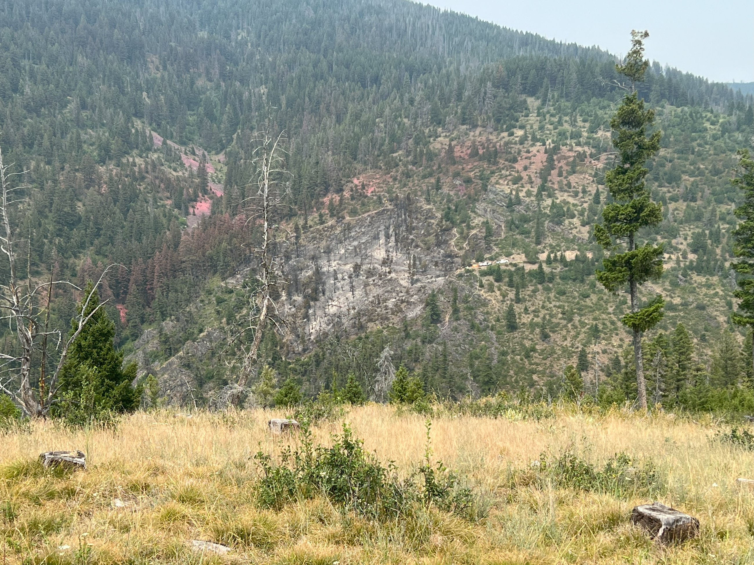 Wide shot of the spot fire that occurred on Wednesday, July 24th and was halted by retardant and crews.