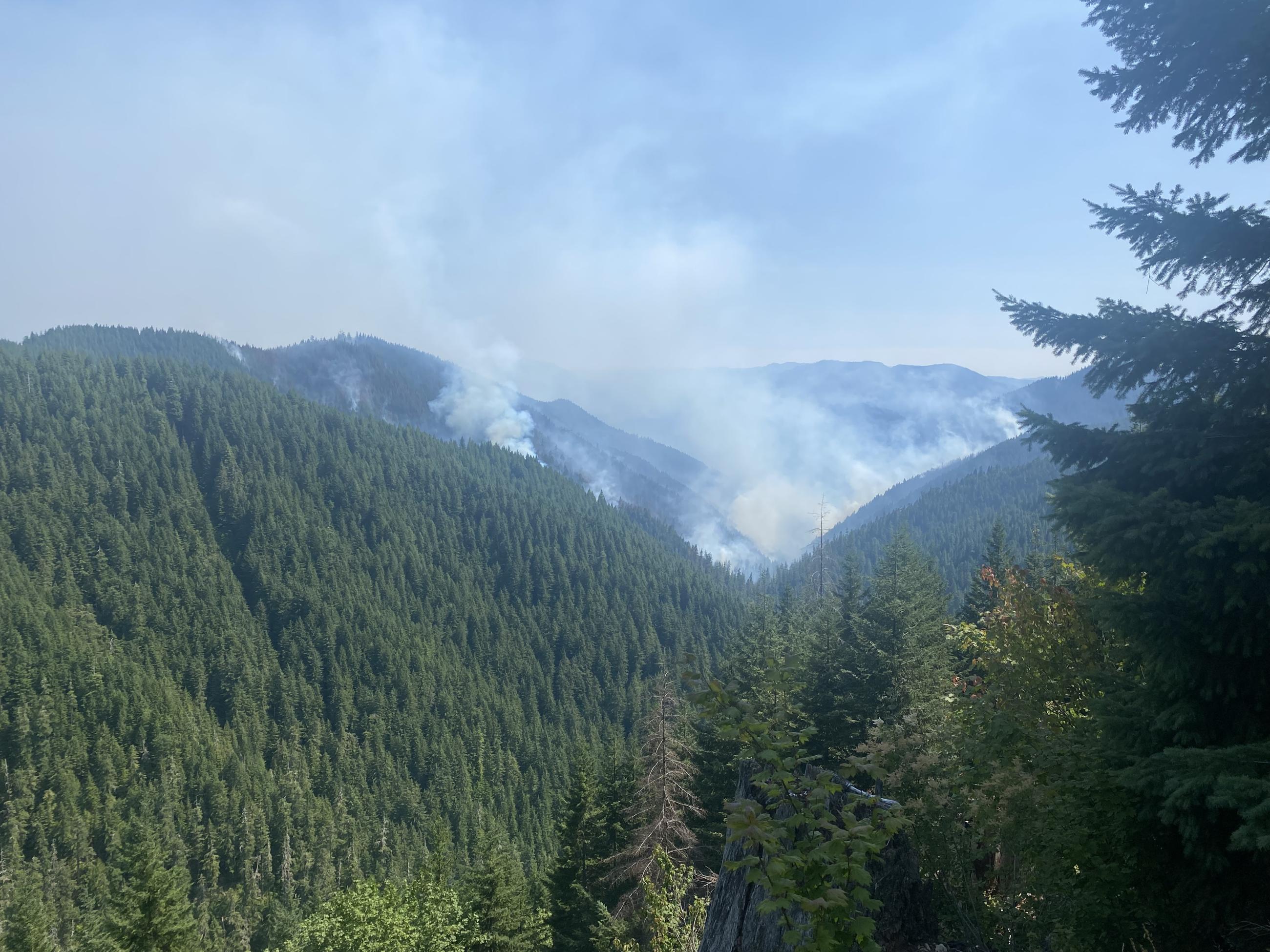 steep hills covered with green trees and smoke in a drainage in the background