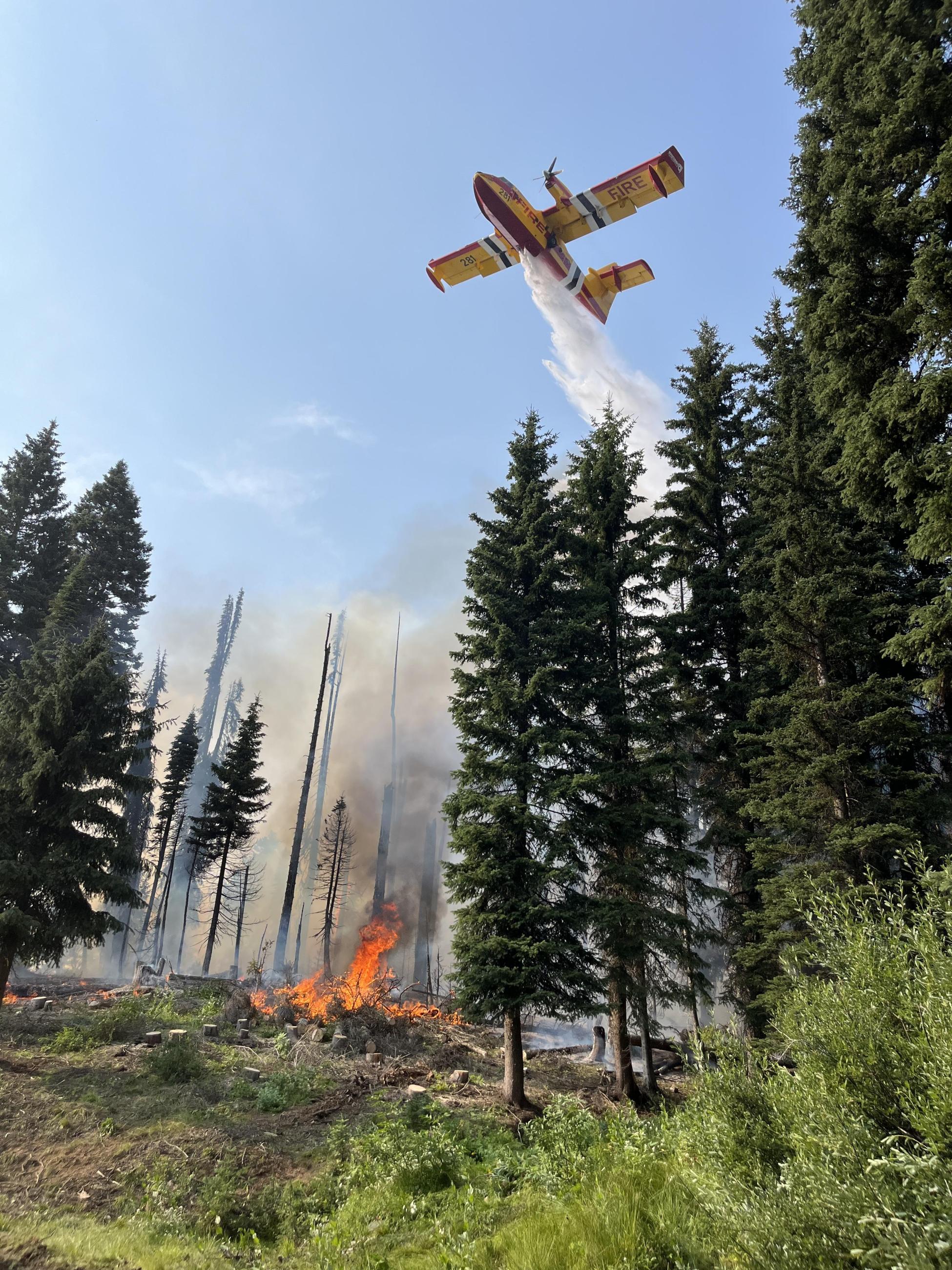CL415 delivers water to active flame in wooded area on Wolf Creek Fire