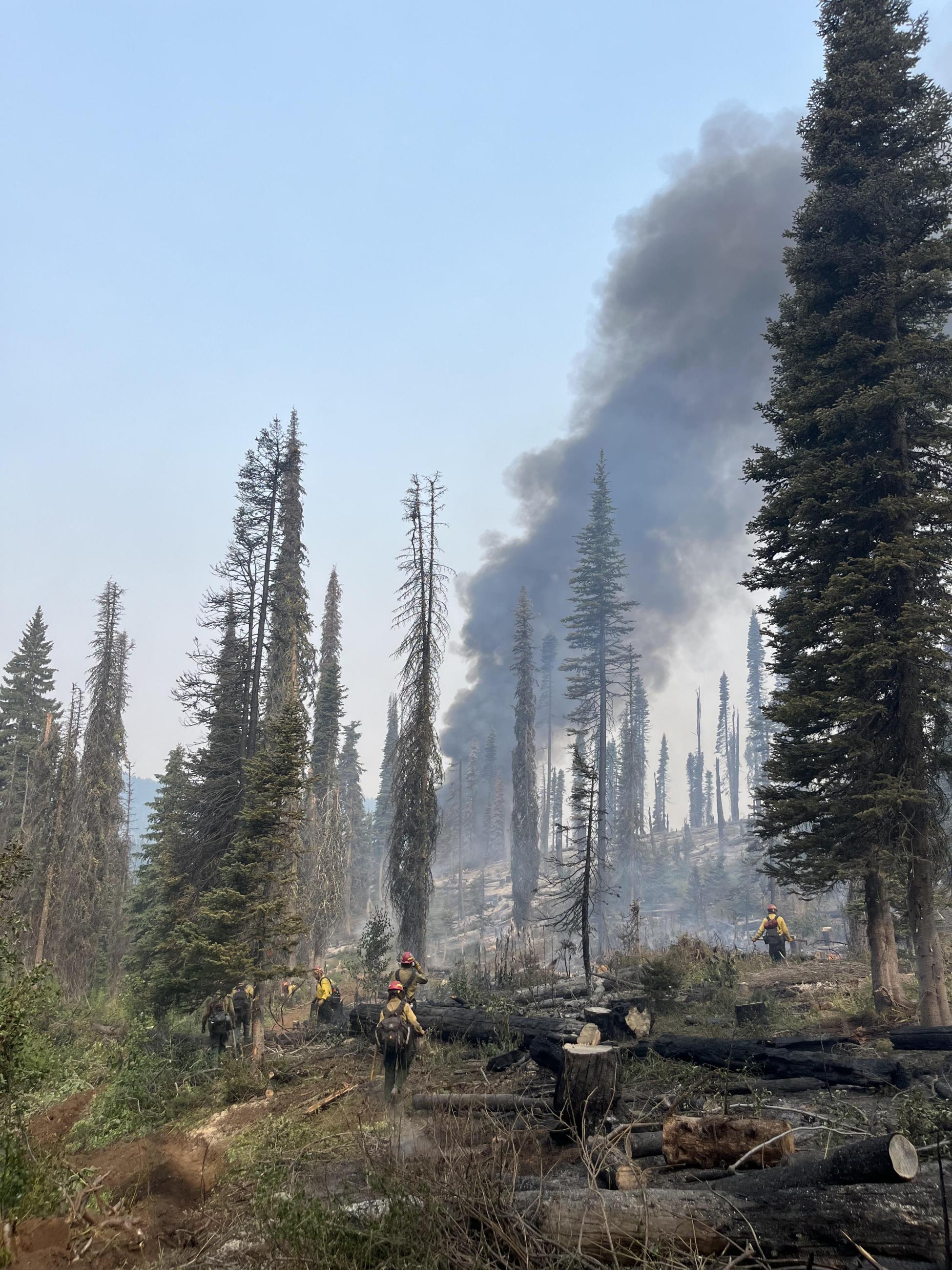 Hand putting in line on the Wolf Creek Fire.