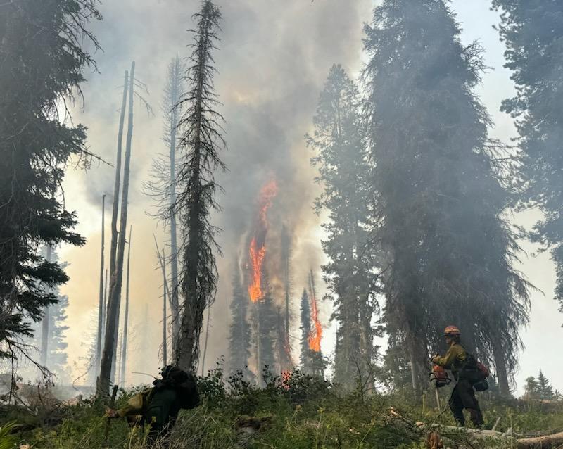 Torching on the Wolf Creek Fire, 7/29/24. 
