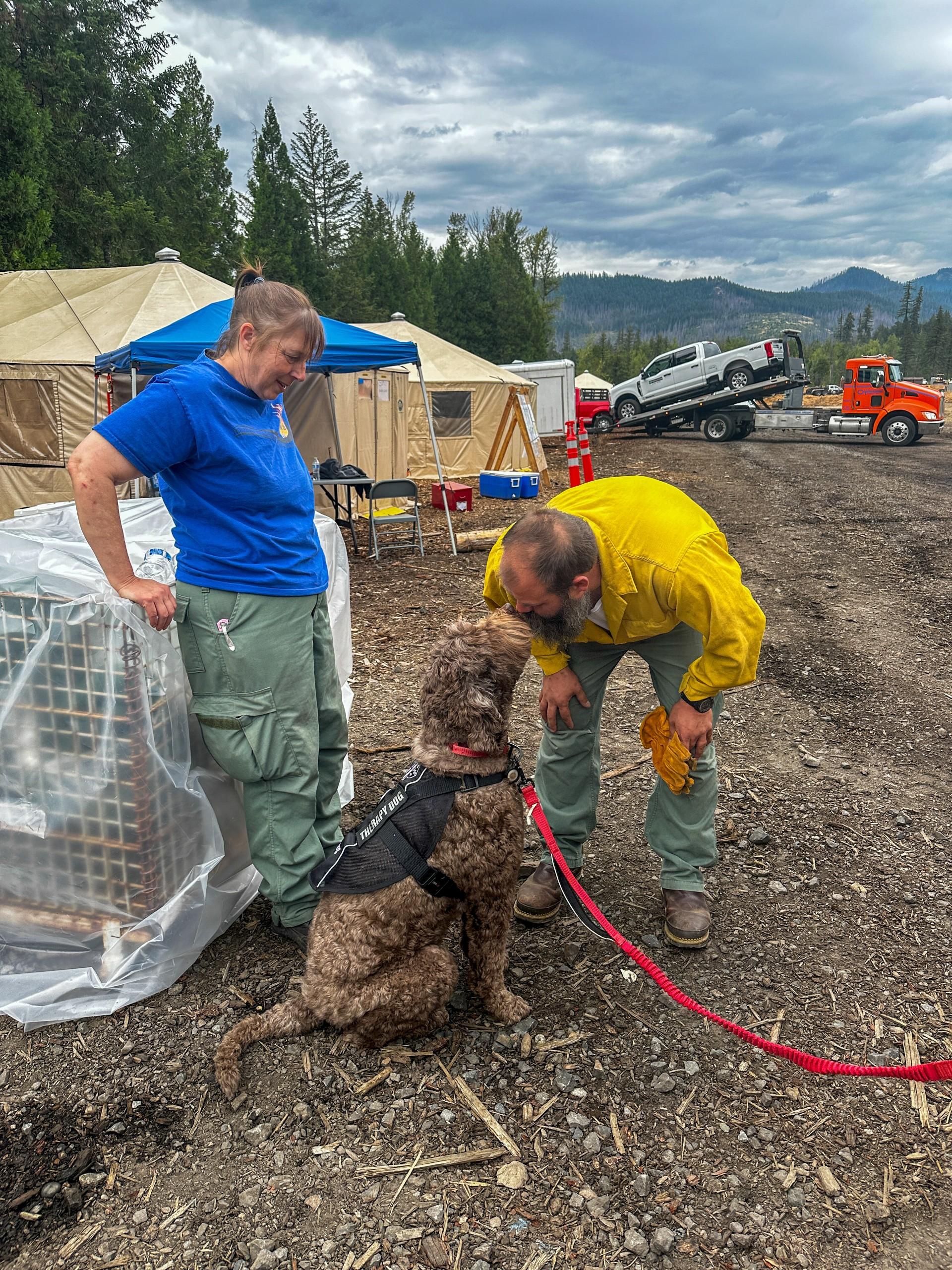 A light brown labradoodle is seen toughing noses with a firefighter wearing yellow nomex on the Ore Fire