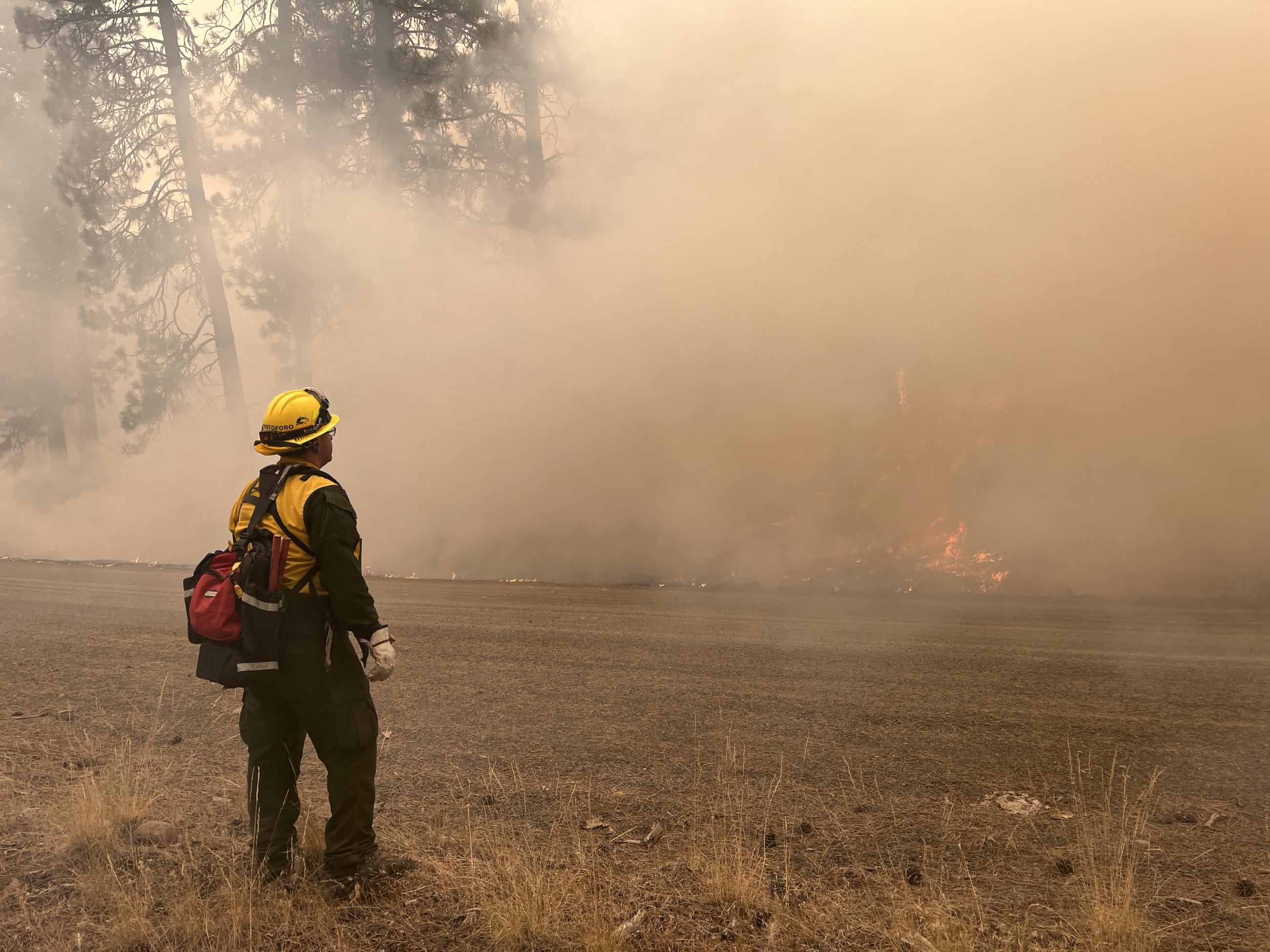 Image of firefighter watching fire creep through grass.