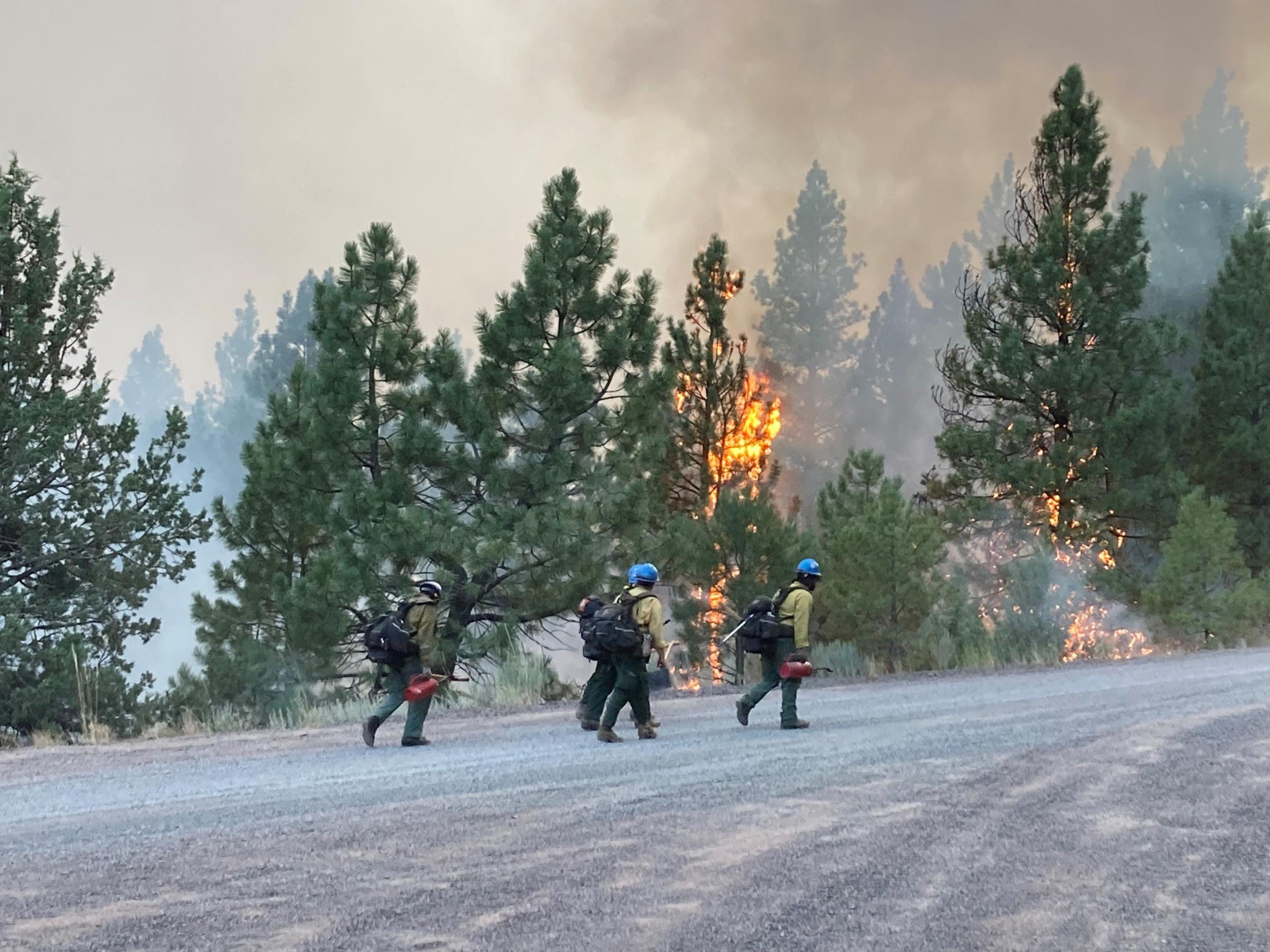 Trees on fire with smoke, crew walking on road with tools 