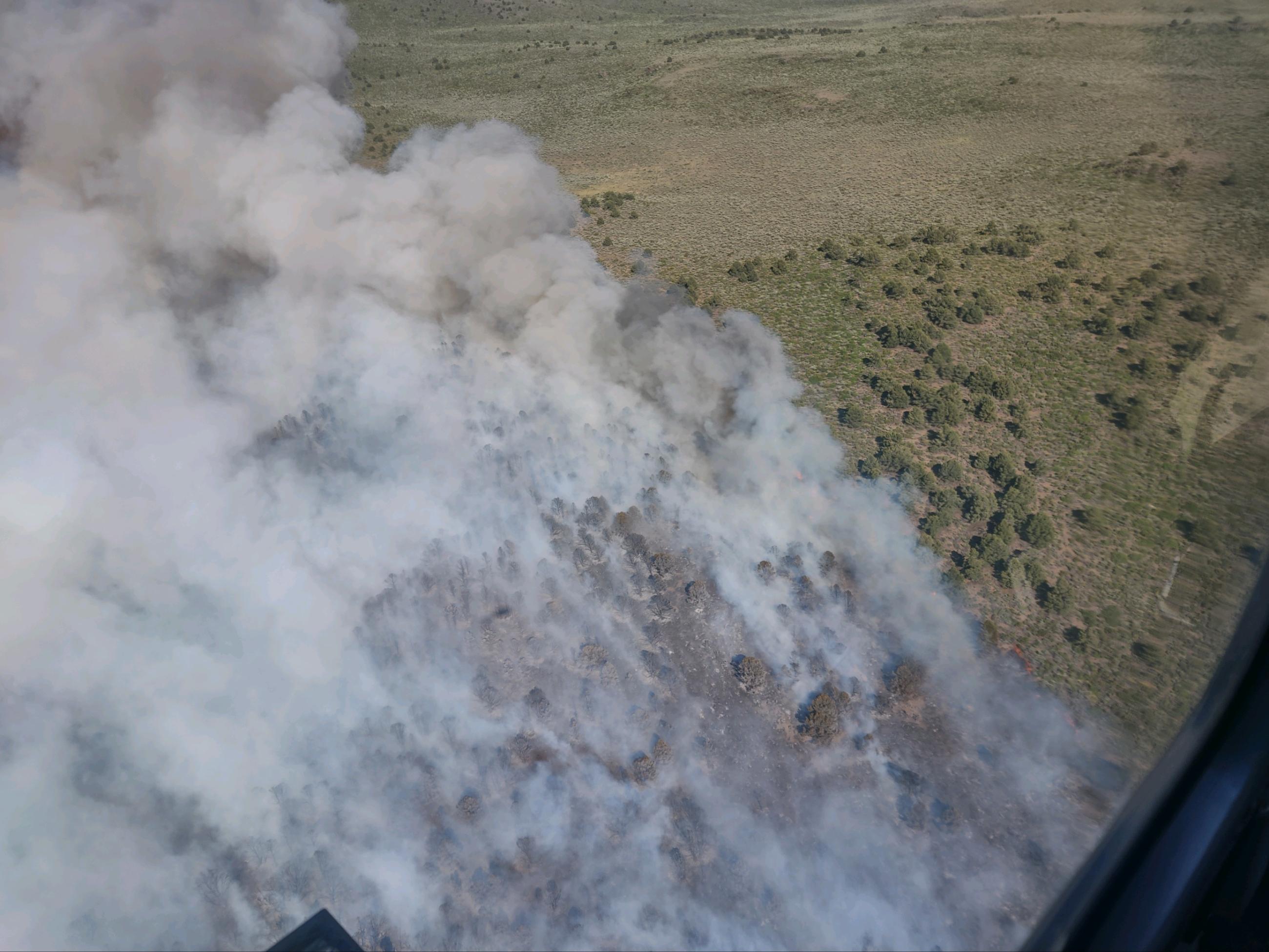 Smoke seen from above rising up from tree and shrub covered hillside