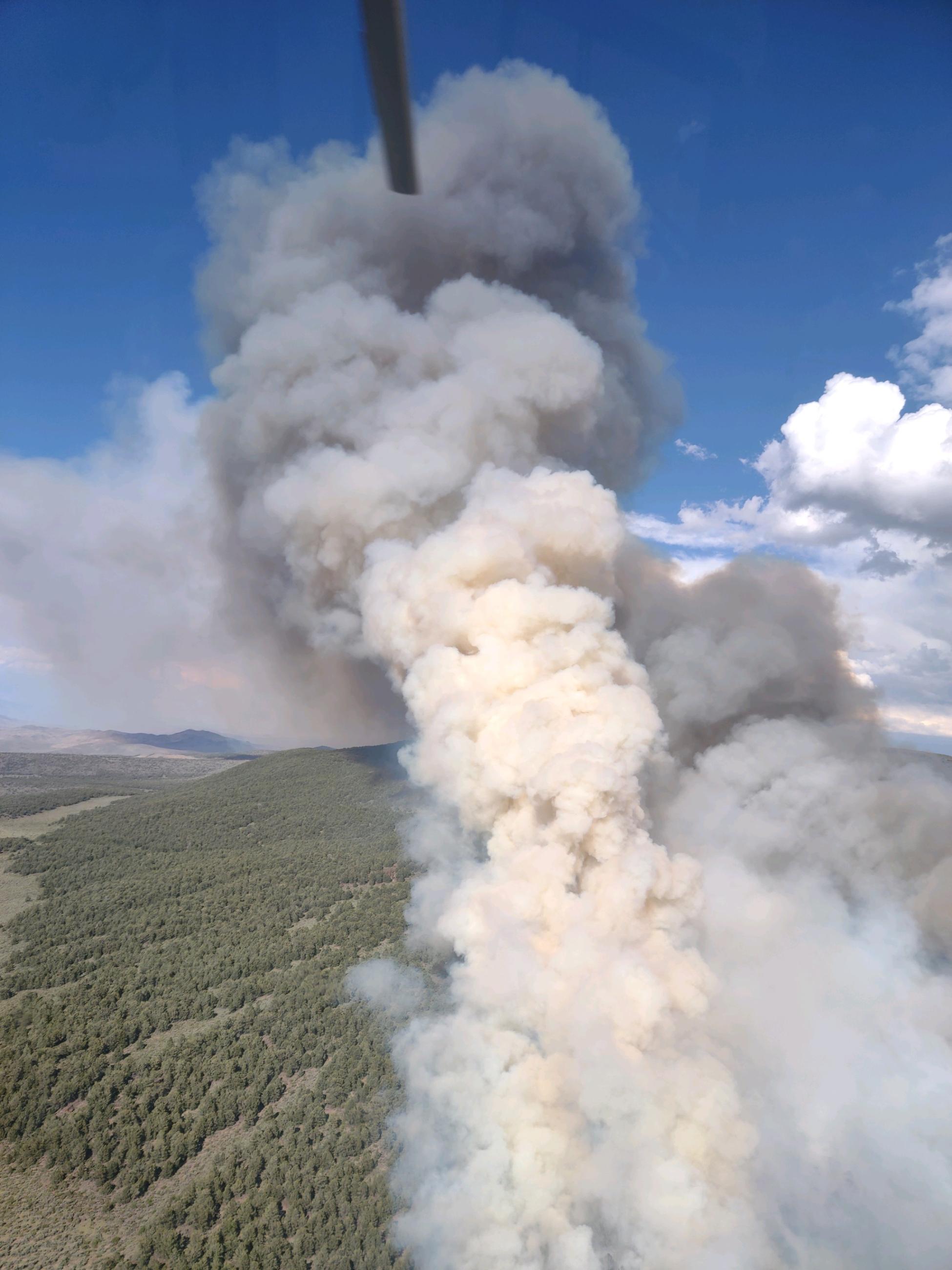 Large column of smoke from above rising up from tree covered hill below. 