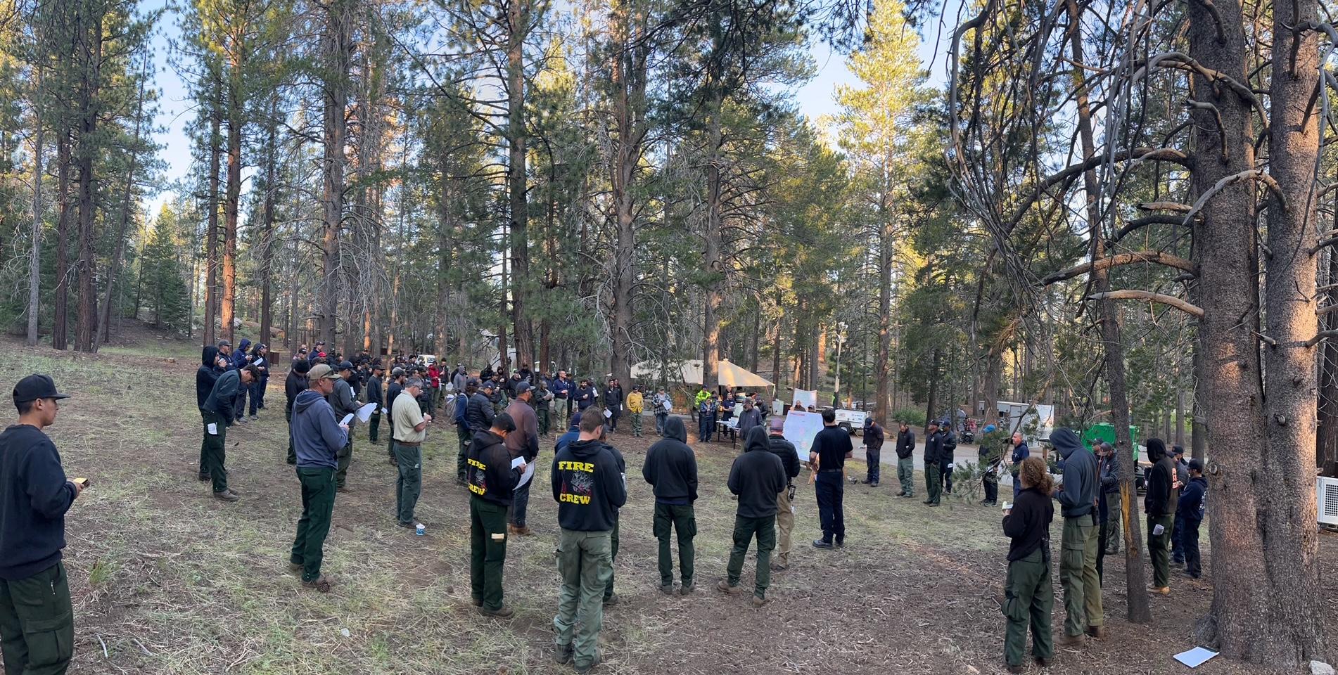 A large group of people stand in a cluster in the woods. One person is speaking next to a board at the center of the group.