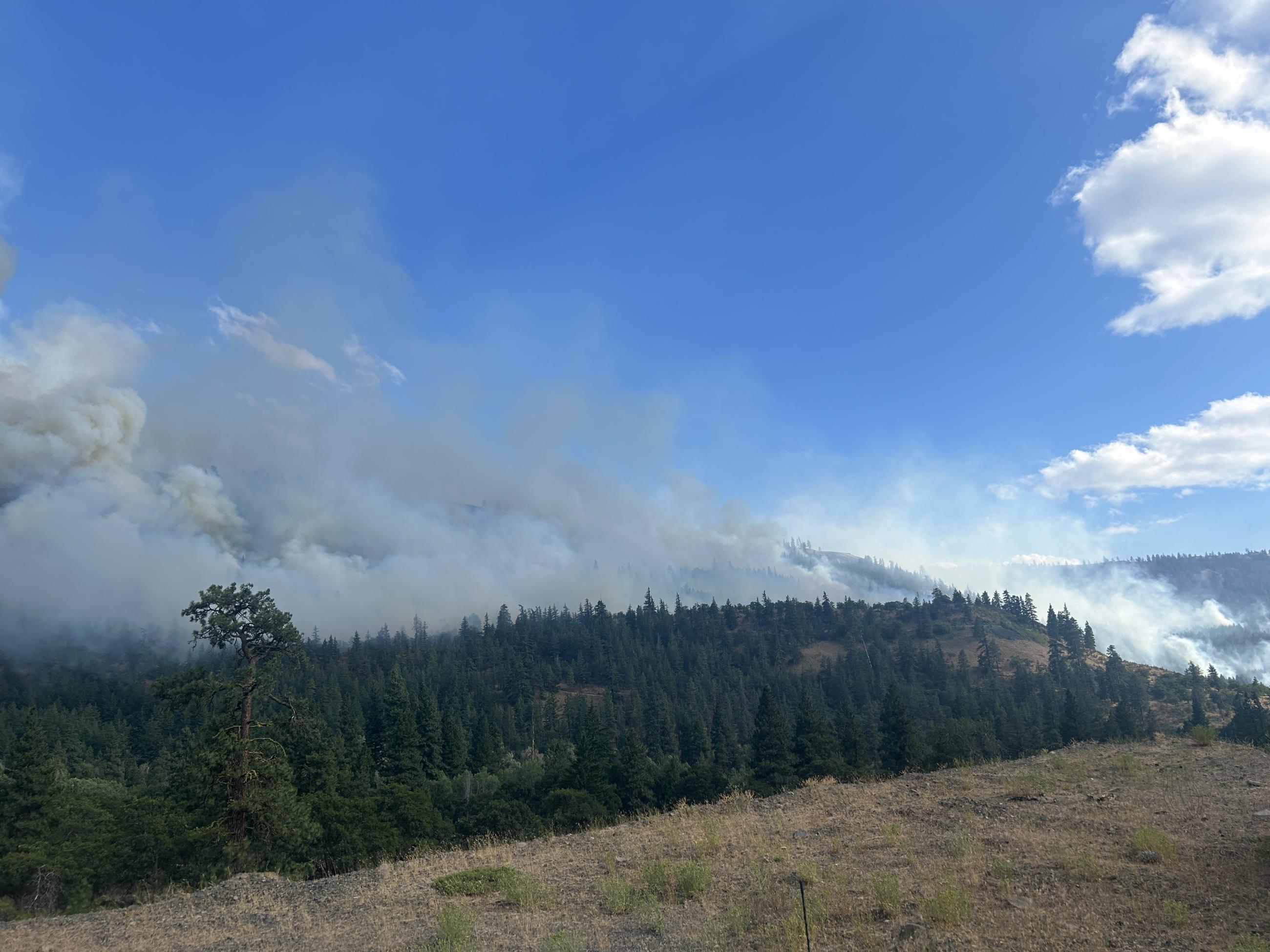 A timber and grass ridgeline with smoke from a controlled burn.