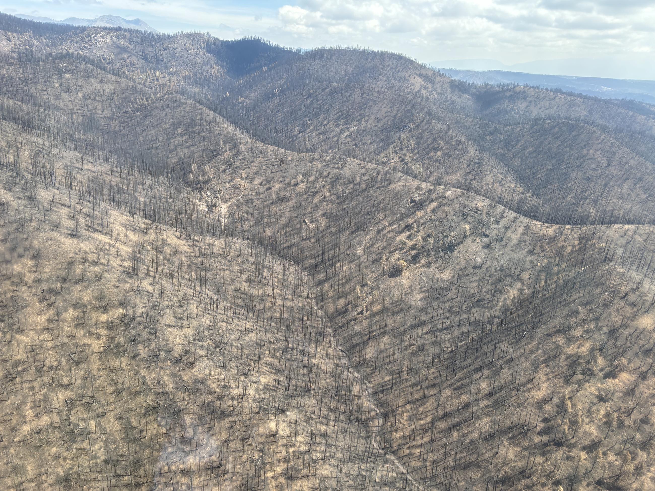 Image showing an Overview of Soil Burn Severity in the South Fork Drainage