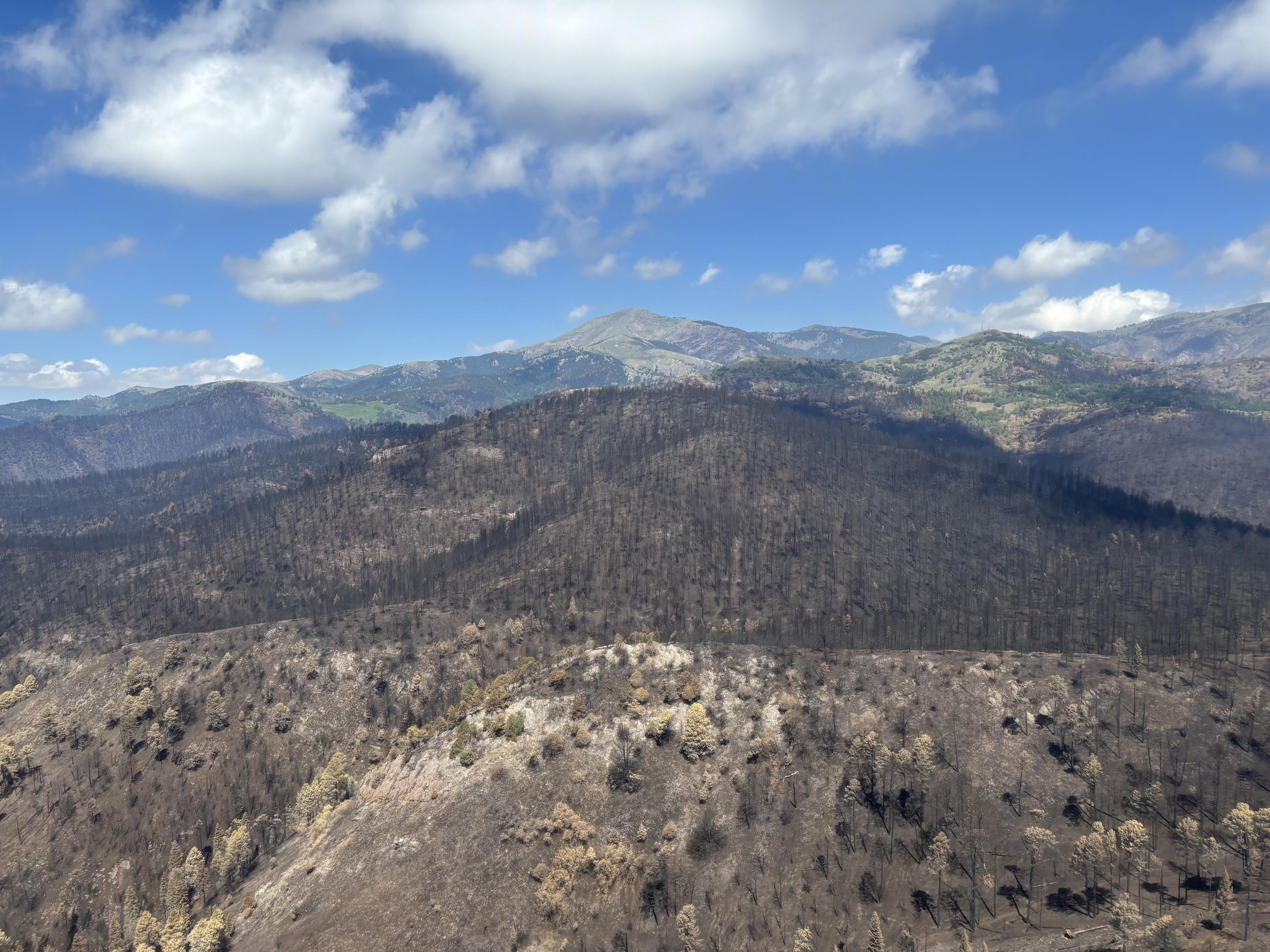 Image showing Soil Burn Severity Overview Looking at Sierra Blanca in the South Fork Burned Area