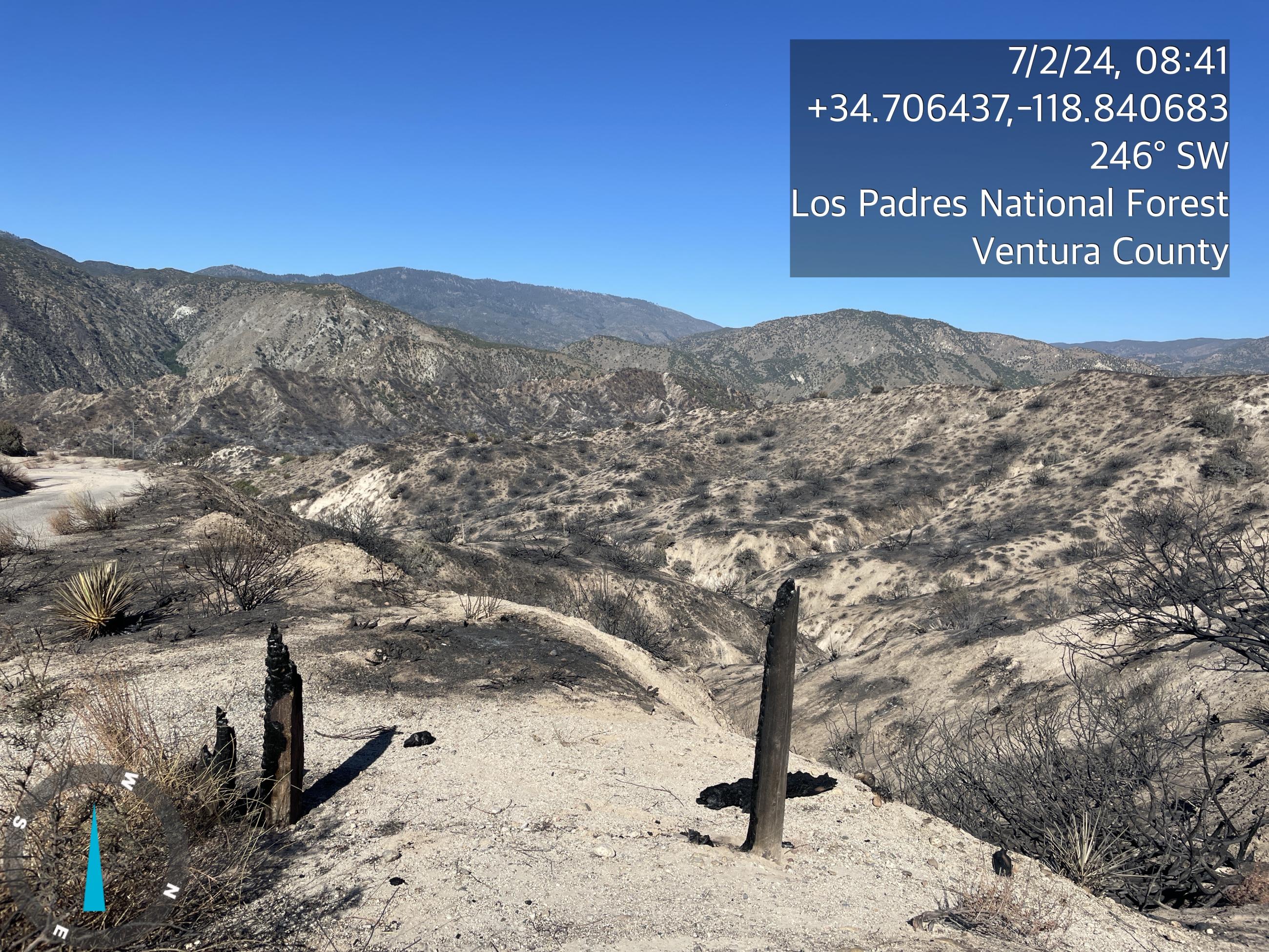 Image showing an Overview of Post Fire Burned Area on Los Padres National Forest in Ventura County on 7/2/24