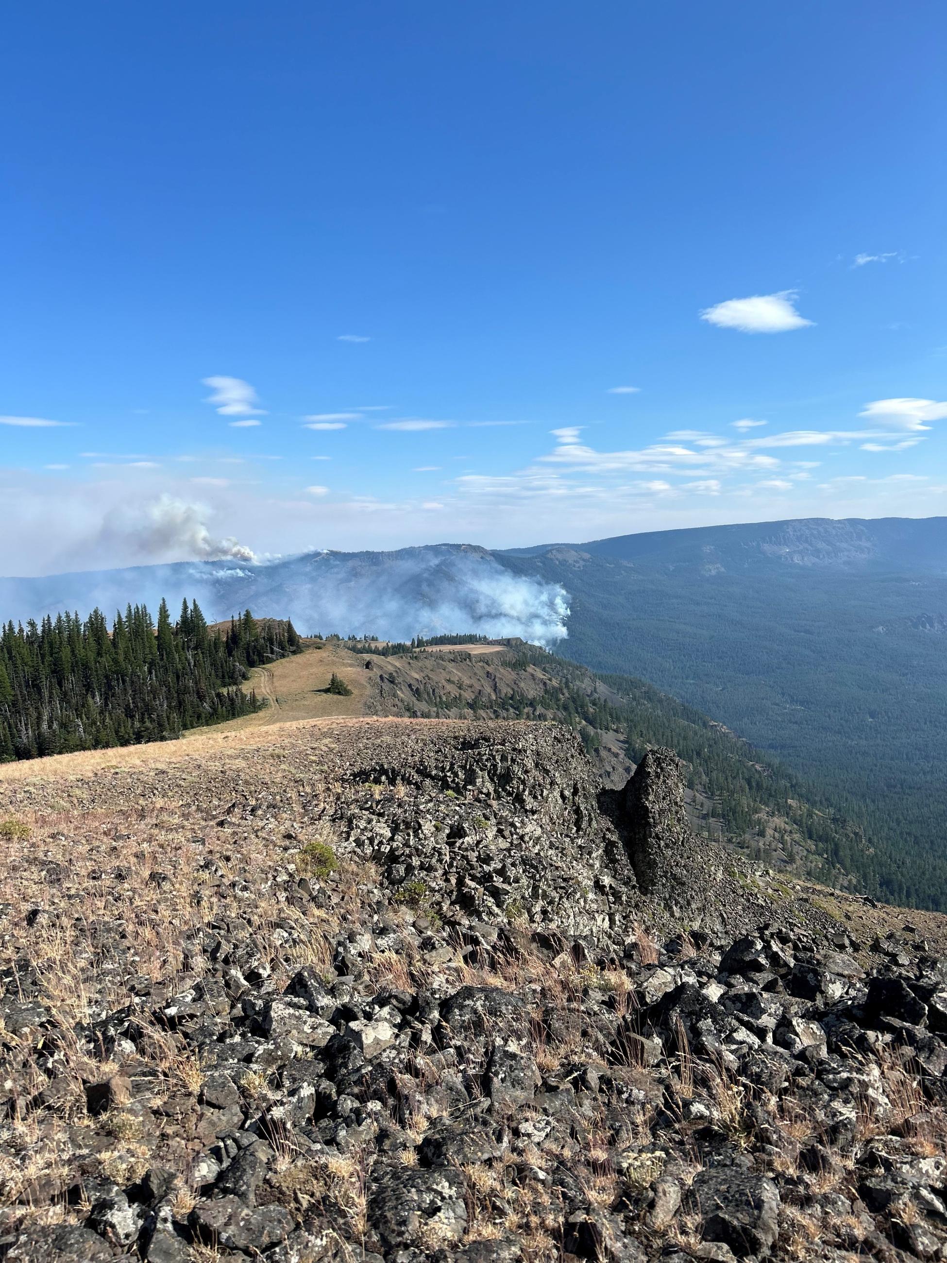 View of Fire from Bethel Ridge Facing South