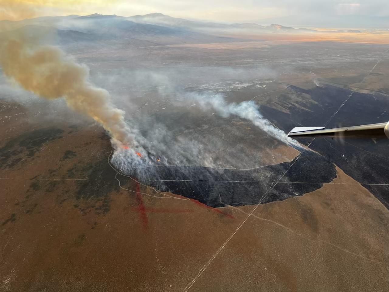 Aerial view of smoke rising from wildfire and blackened burn area on ground