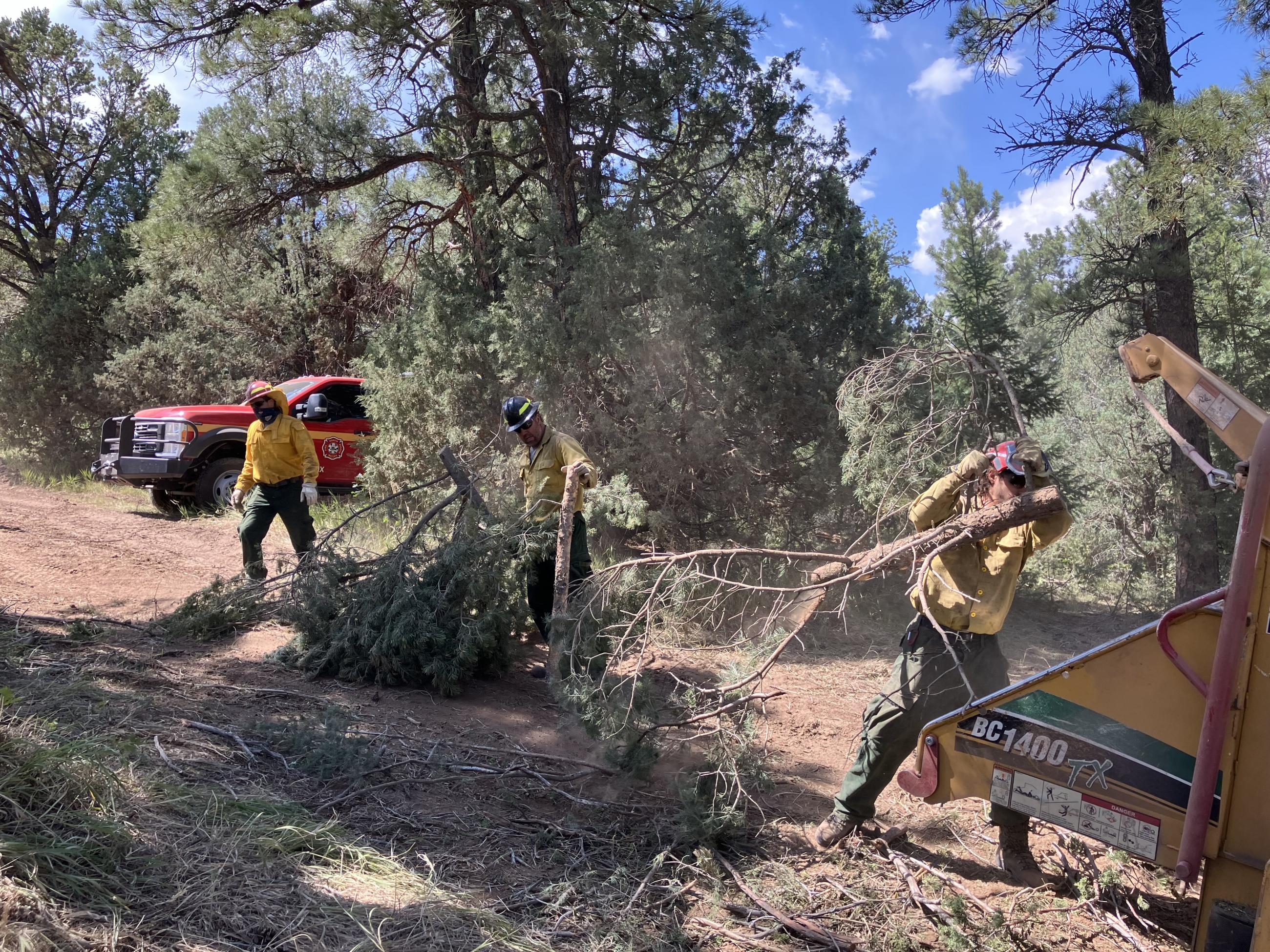 Image of firefighters carrying vegetation to the chipper