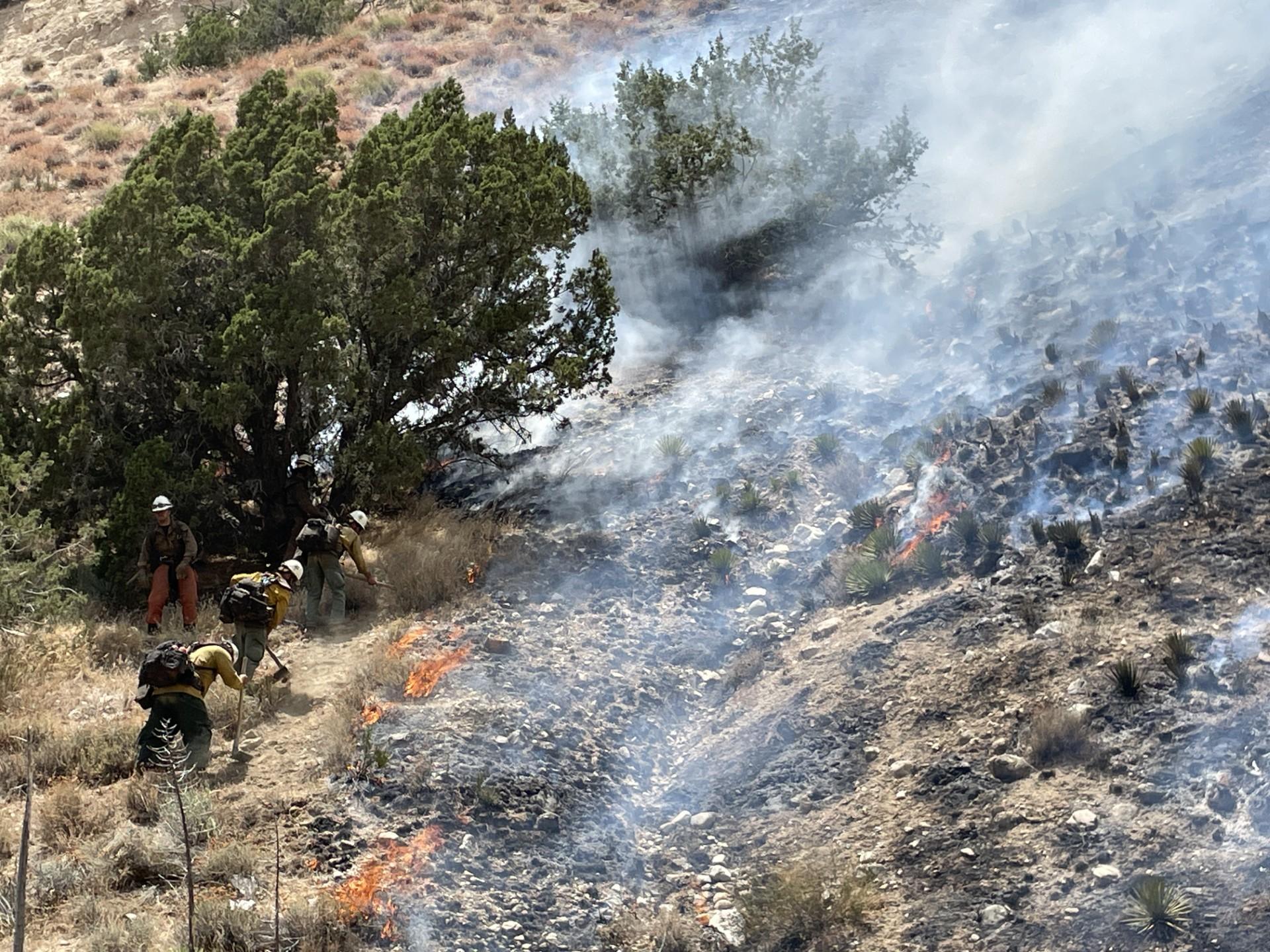 Crew of firefighters work near smoke and flame