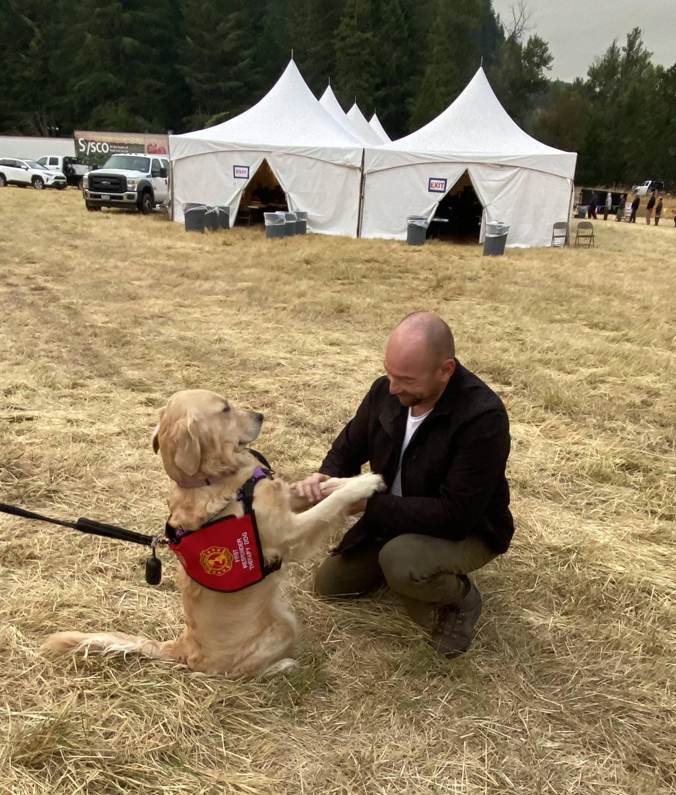 a dog sits and offers its paw to a firefighter