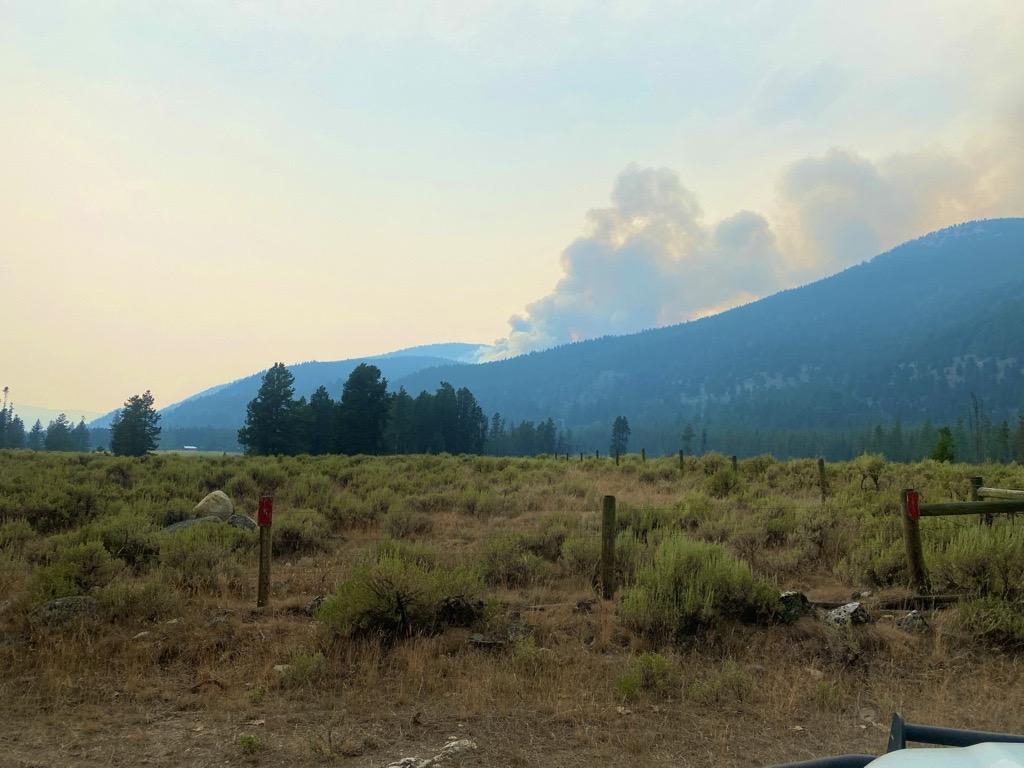 Forested landscape with smoke billowing from the mountain top in the background. Green grass in the foreground.