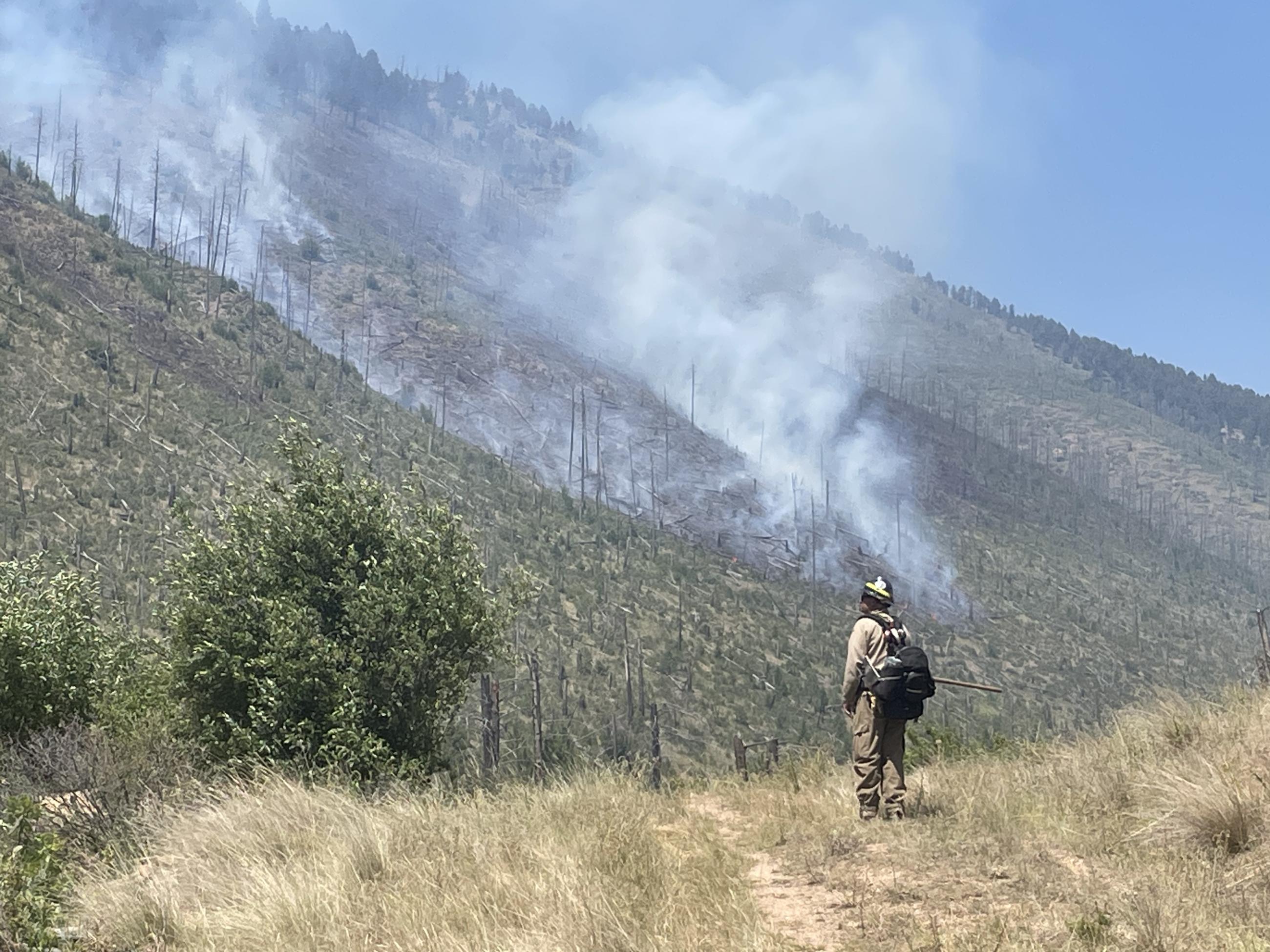 Wildland firefighter standing at the base of a steep hillside in an old fire scar as current wildfire moves downslope.