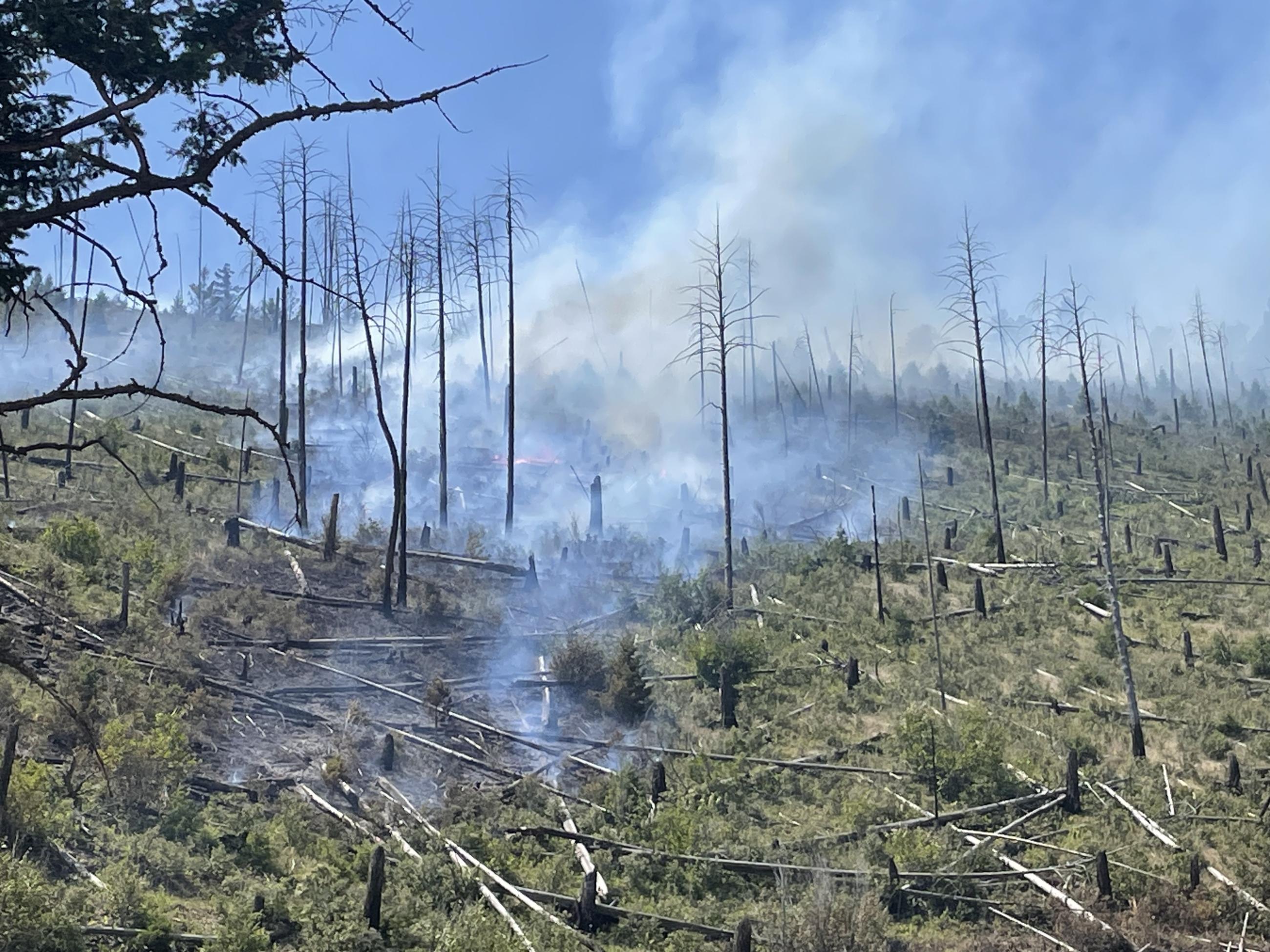 Wildfire burning in an old fire scar.