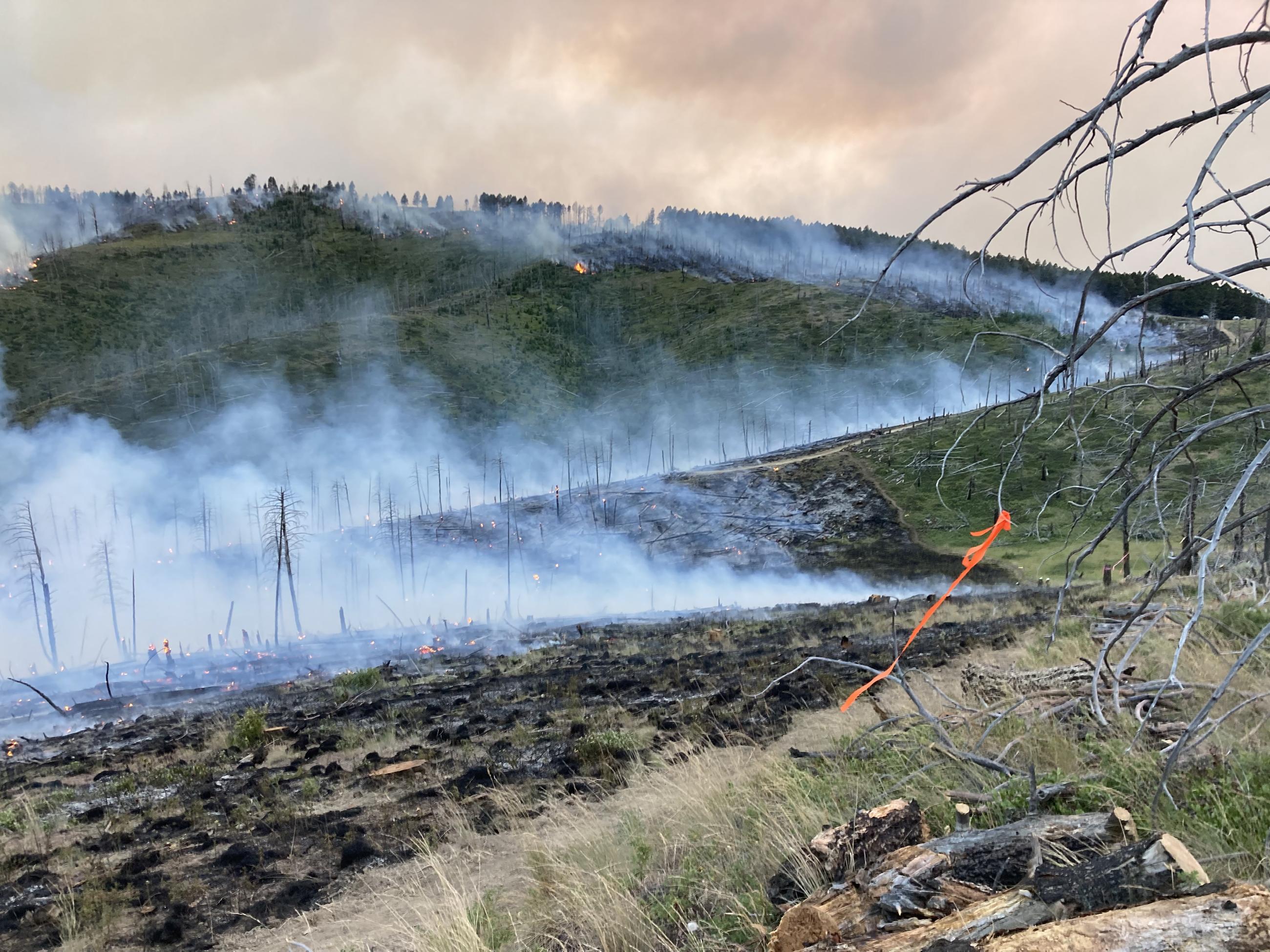 Fire line on the Horse Gulch Fire - July 16, 2024