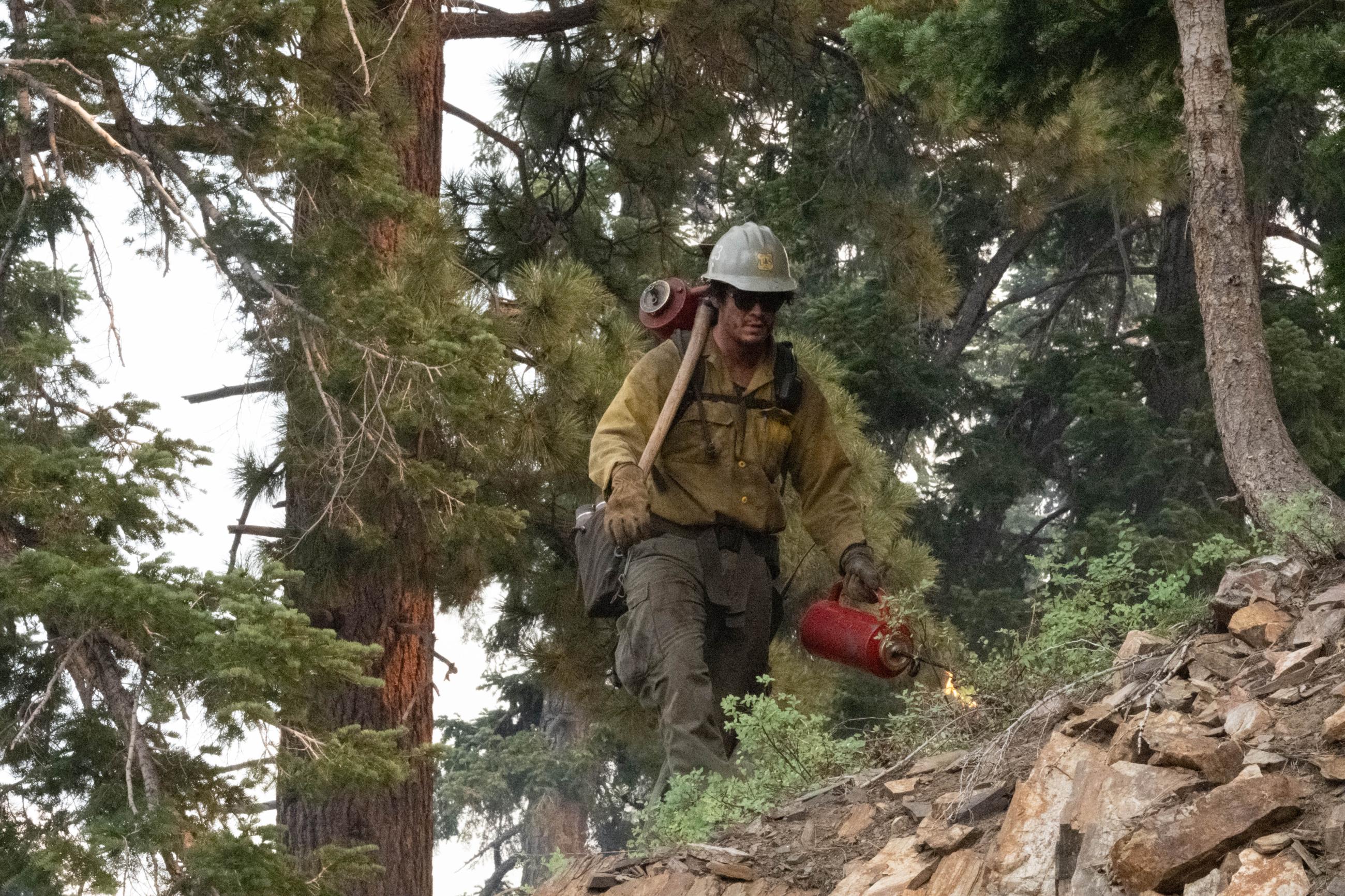 A firefighter carries a cannister with a flame on the end. He lights small plants on fire with it as he hikes along a steep ridge.