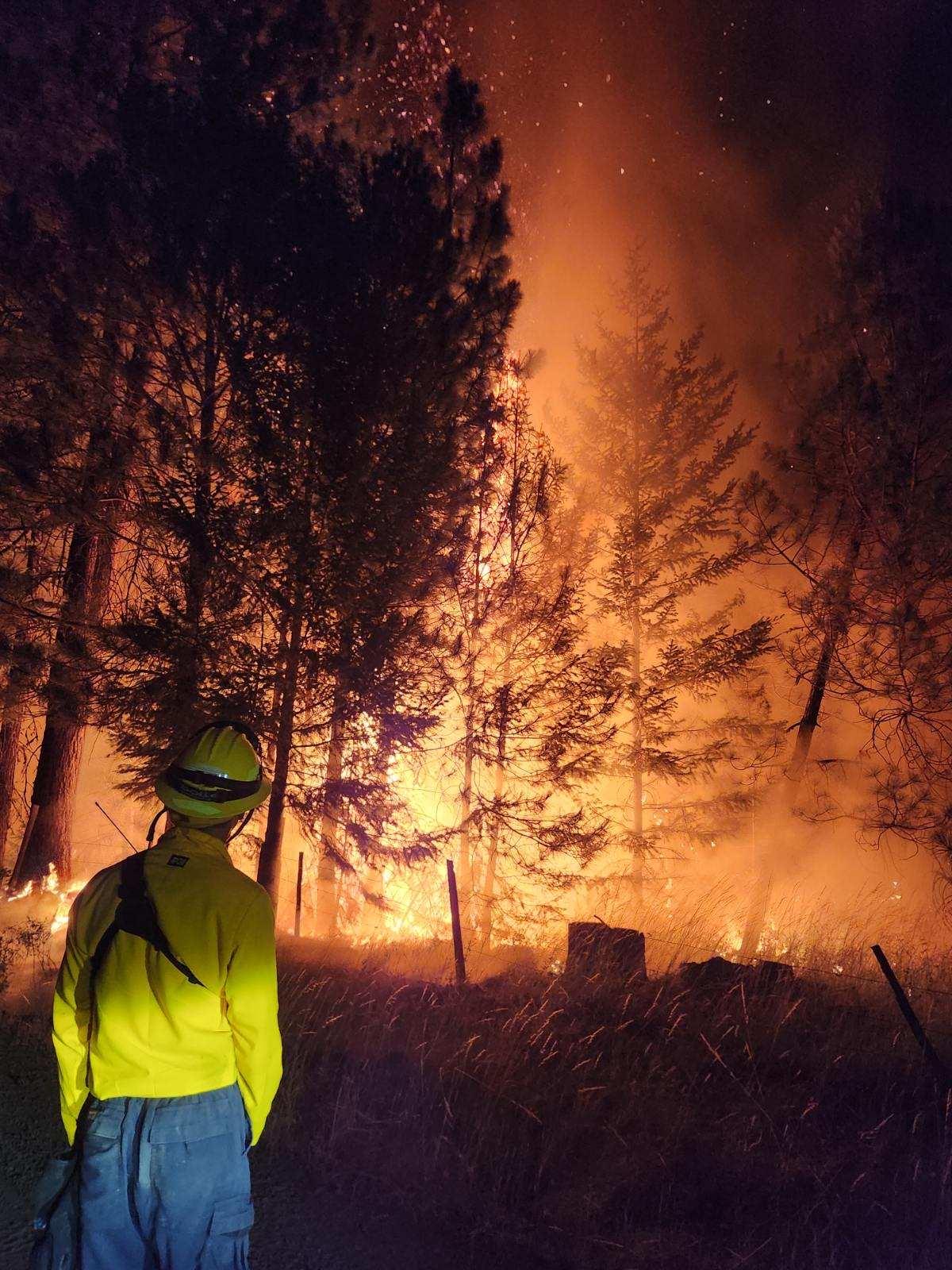 Night Operations - Firefighter watches tree torch