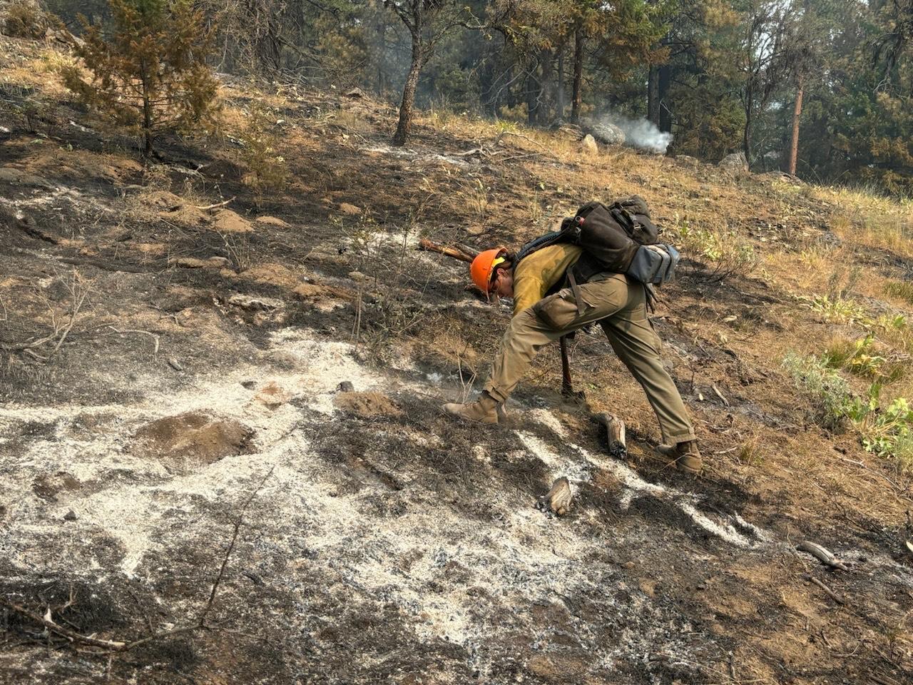 firefighter with hand tool leaning close to ground, trees, smoke, burned soil