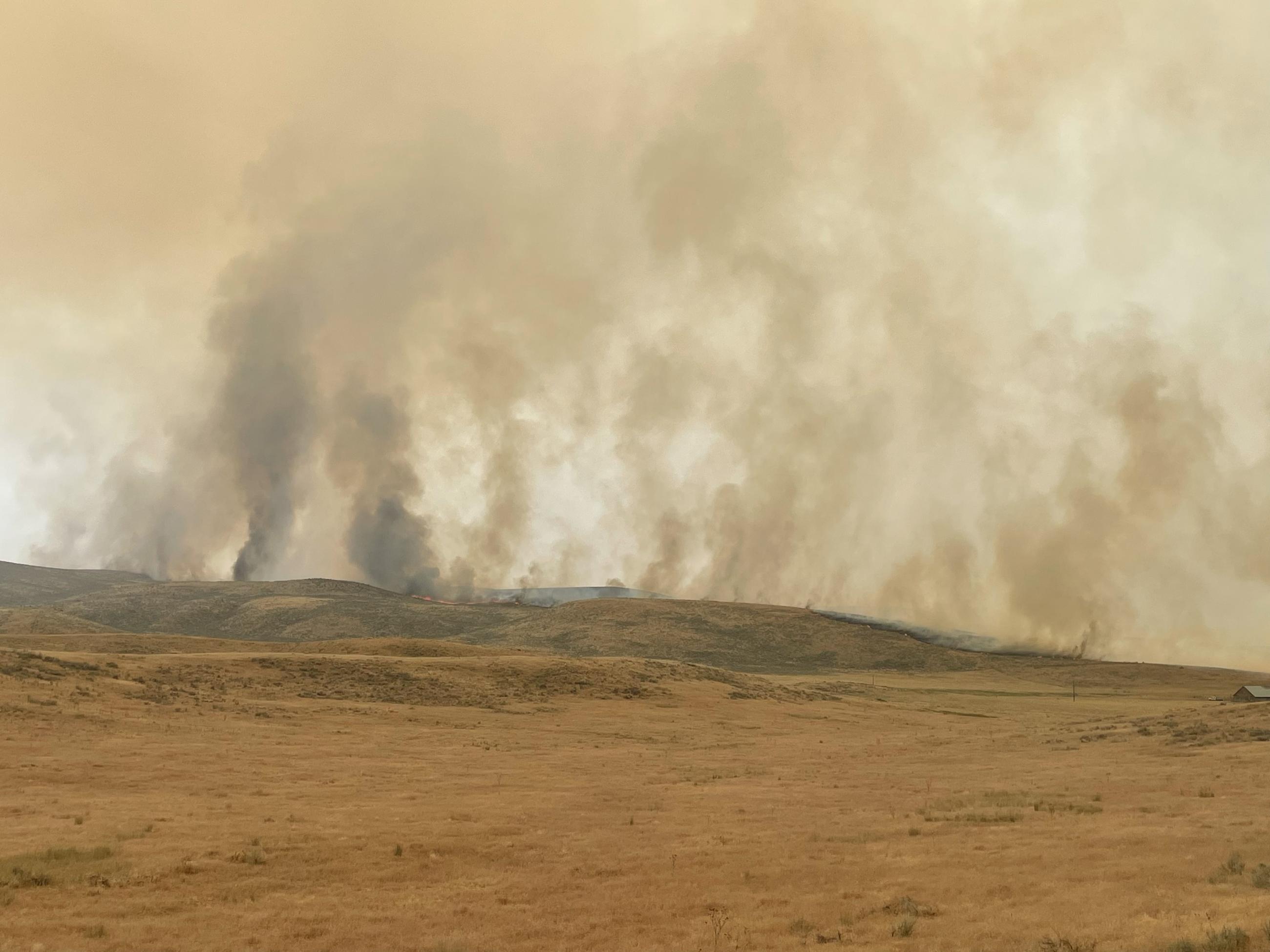 Smoke rises from the fireline along a grassland