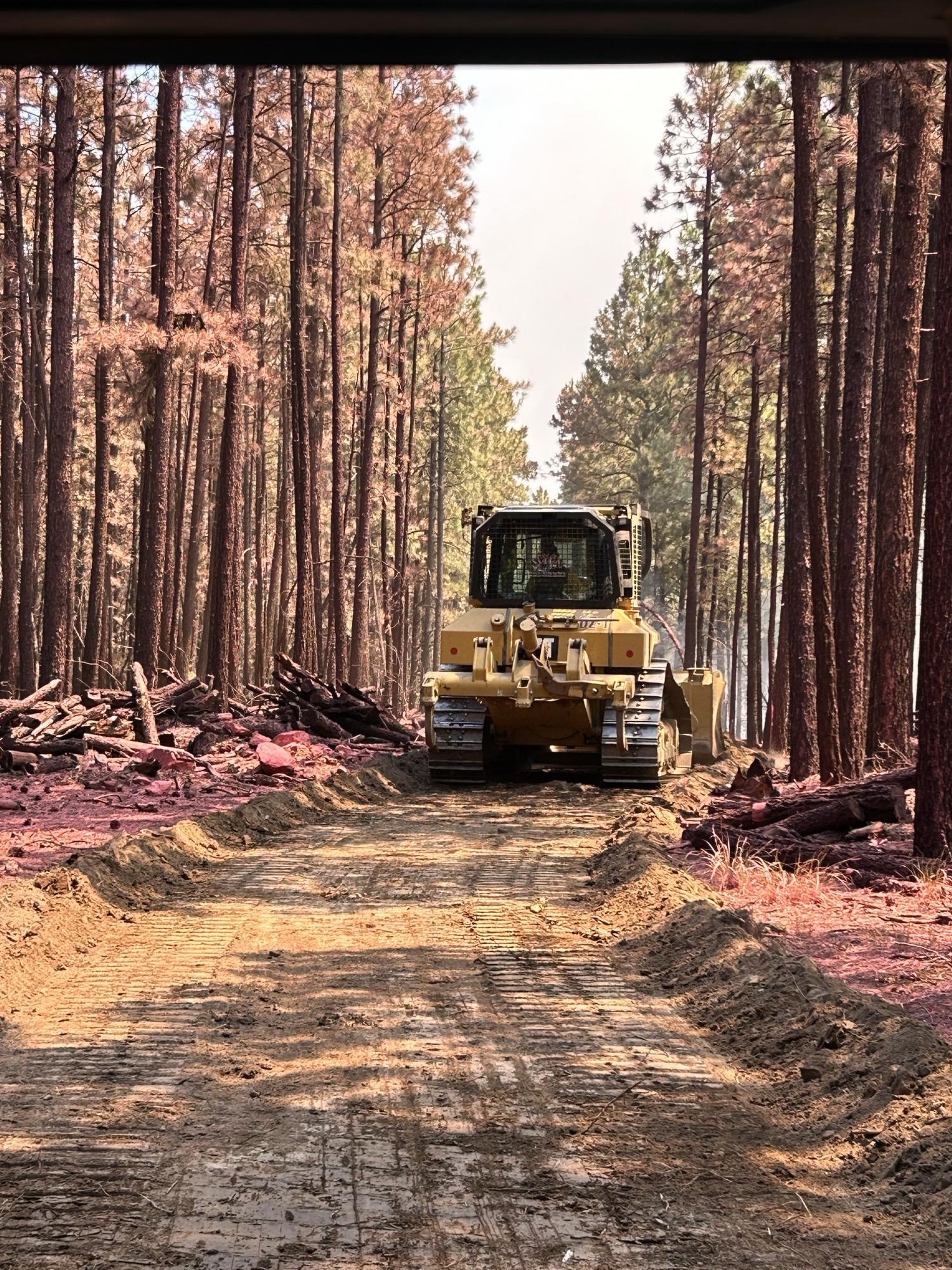 A dozer moves through retardant-coated pine trees along a narrow rocky trail