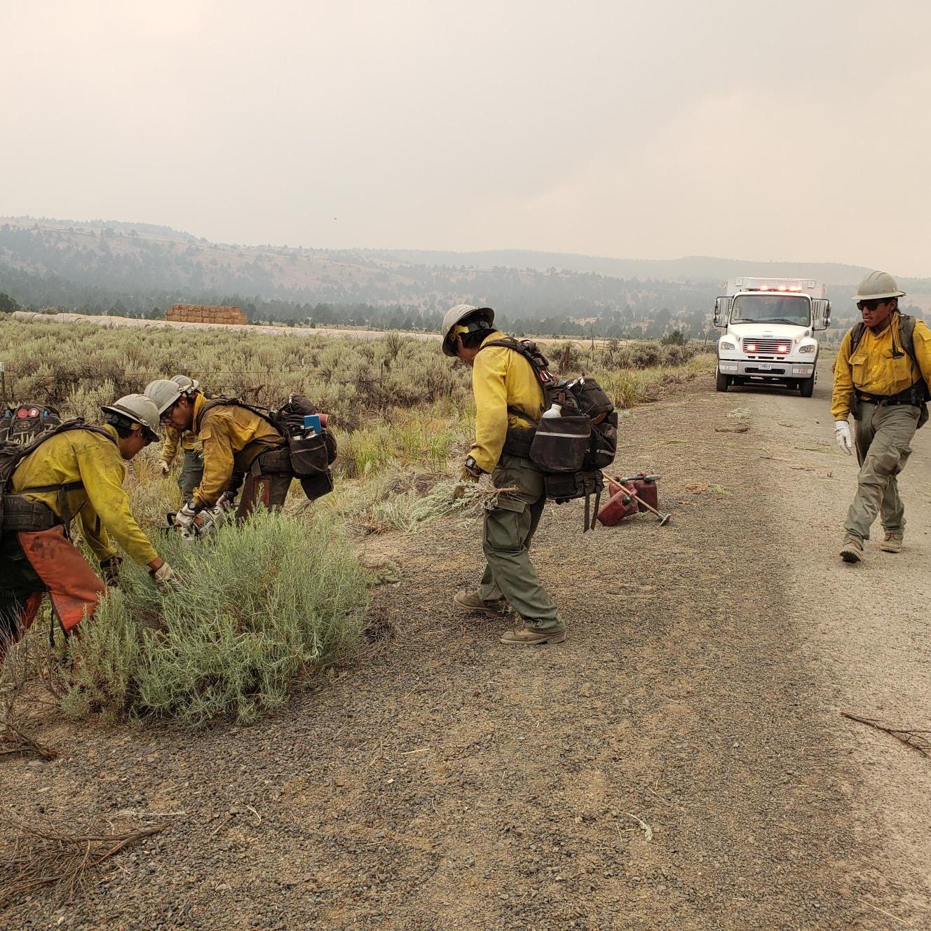 Four firefighters removing shrubs from the edge of a road