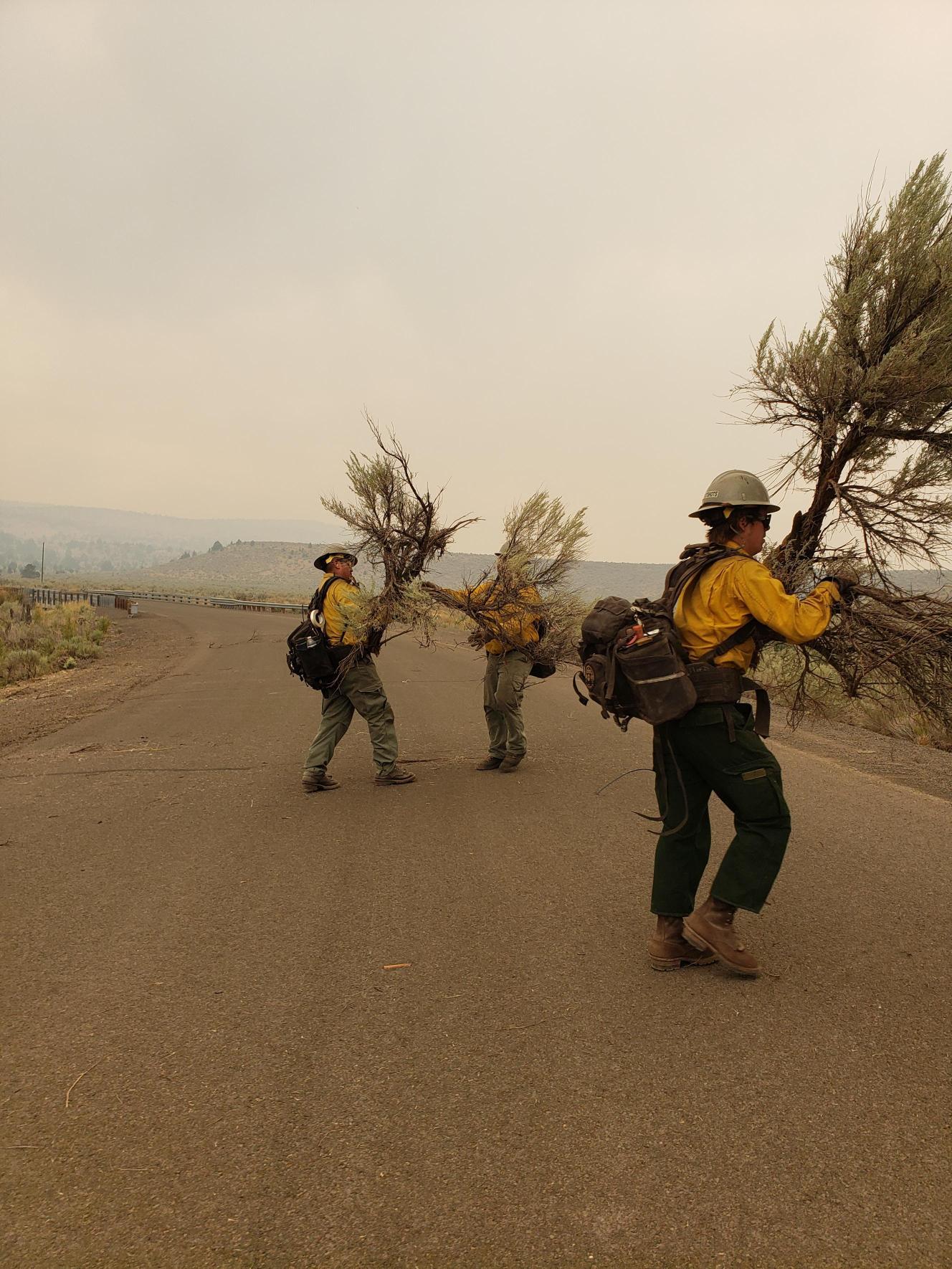 three firefighters on road moving branches