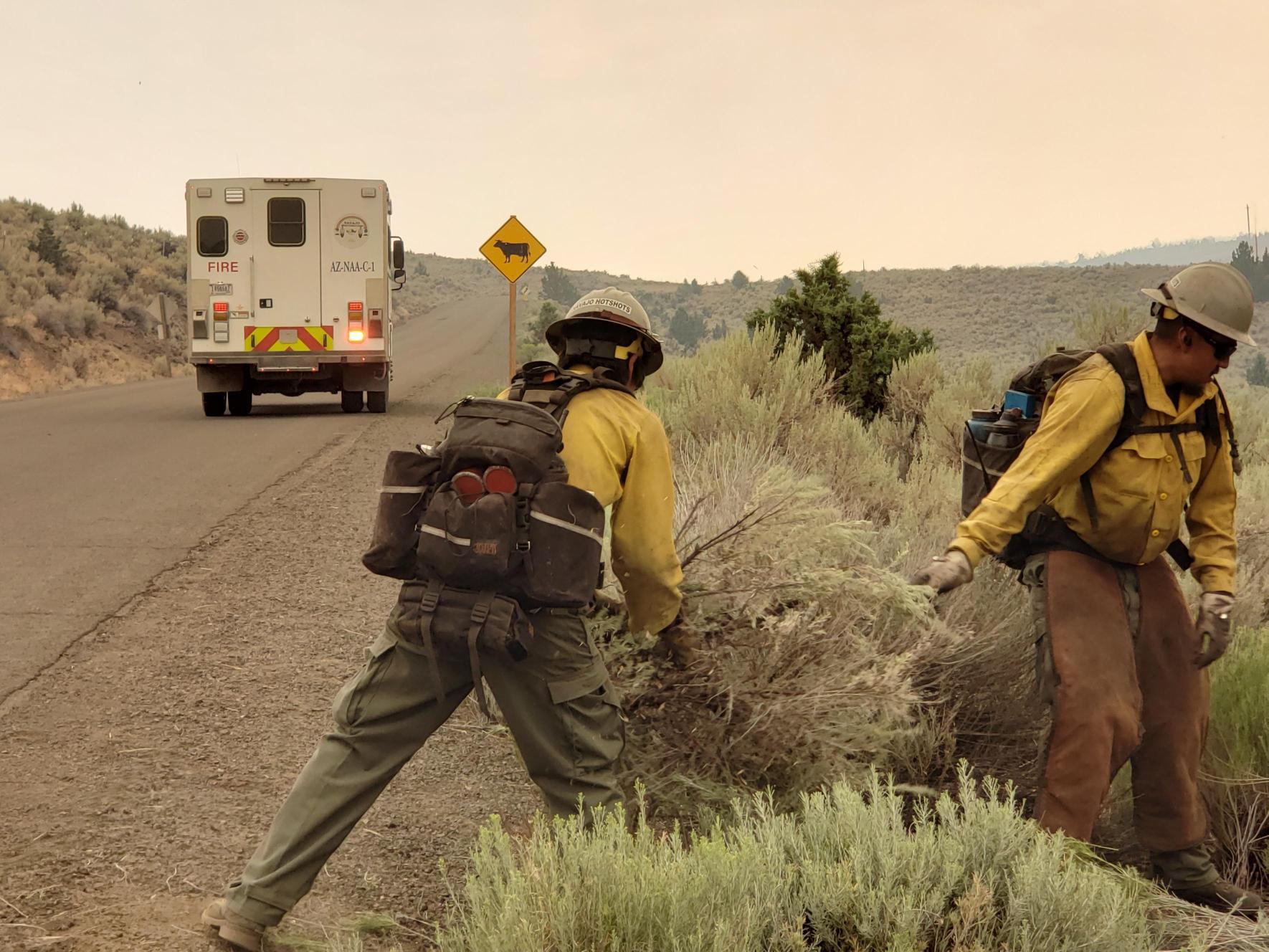 Two firefighters clearing shrubs along a road