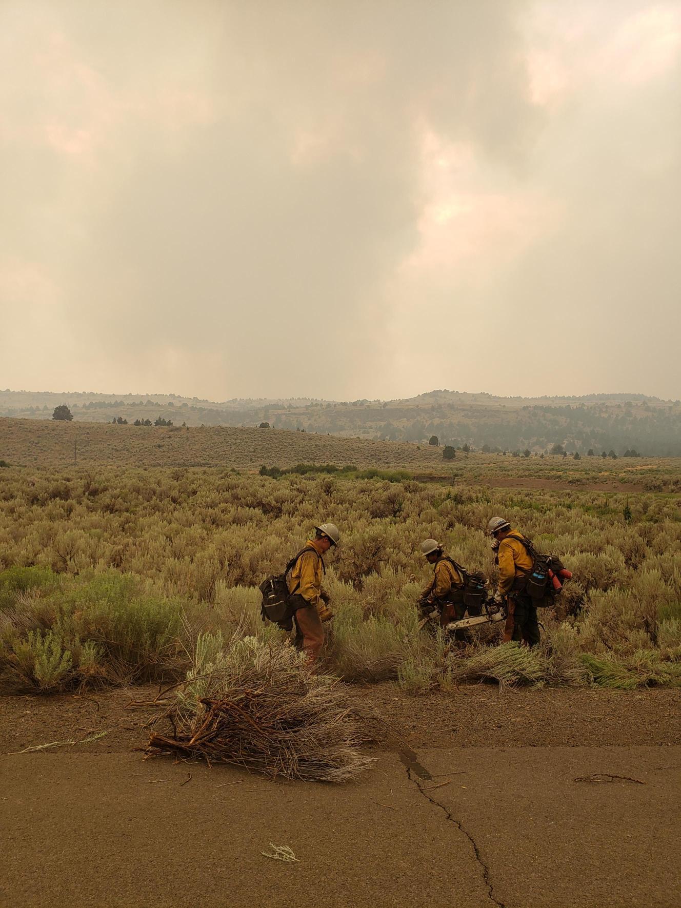 Three firefighters in the shrubs cutting them with chainsaws