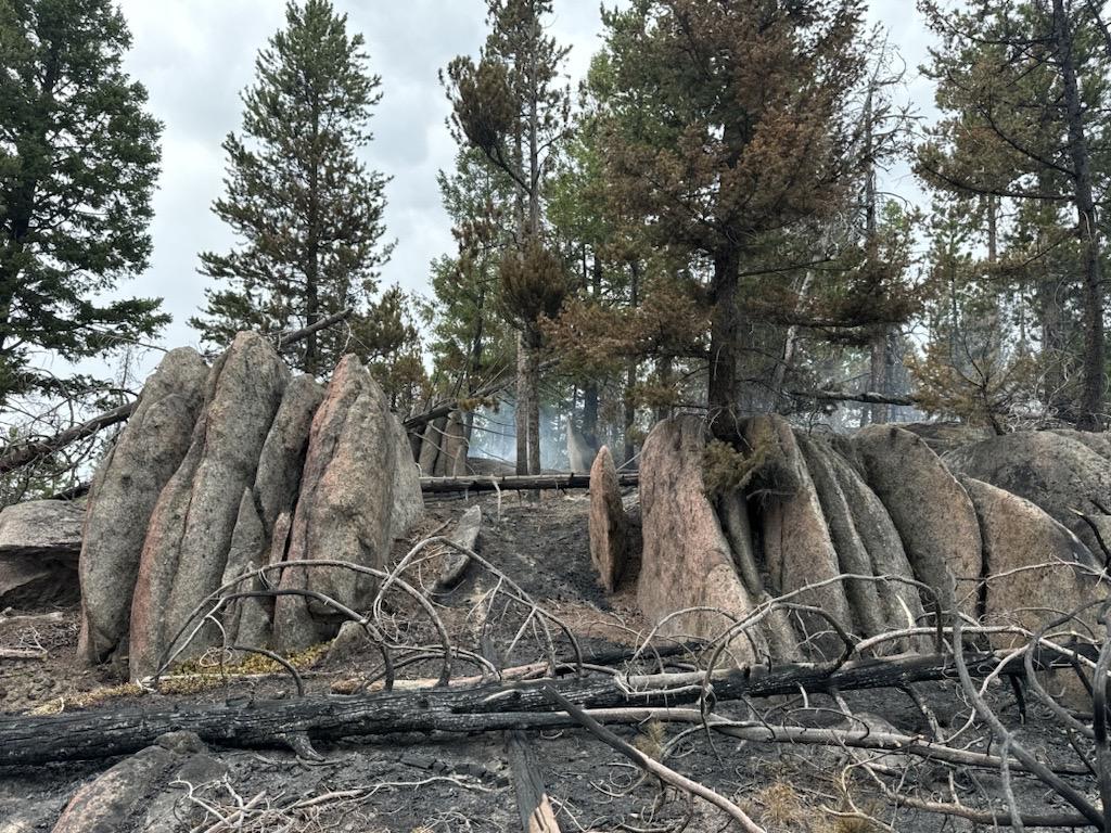 Large boulders in a forest landscape where a fire burned through recently. Burned and unburned conifer trees in the background, with gray cloudy skies.