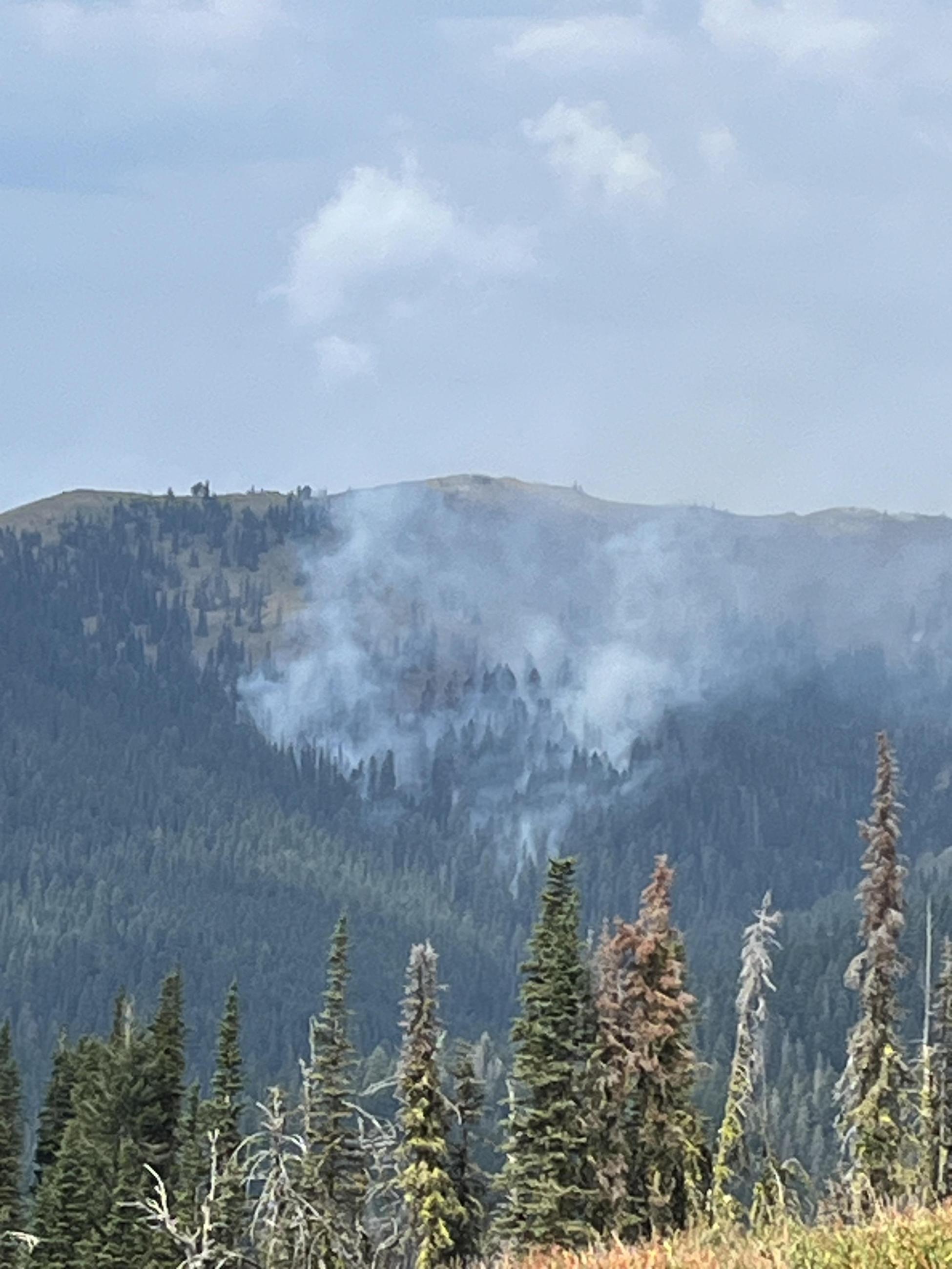 Camp Creek Spot on Limestone Fire, August 13, 2024