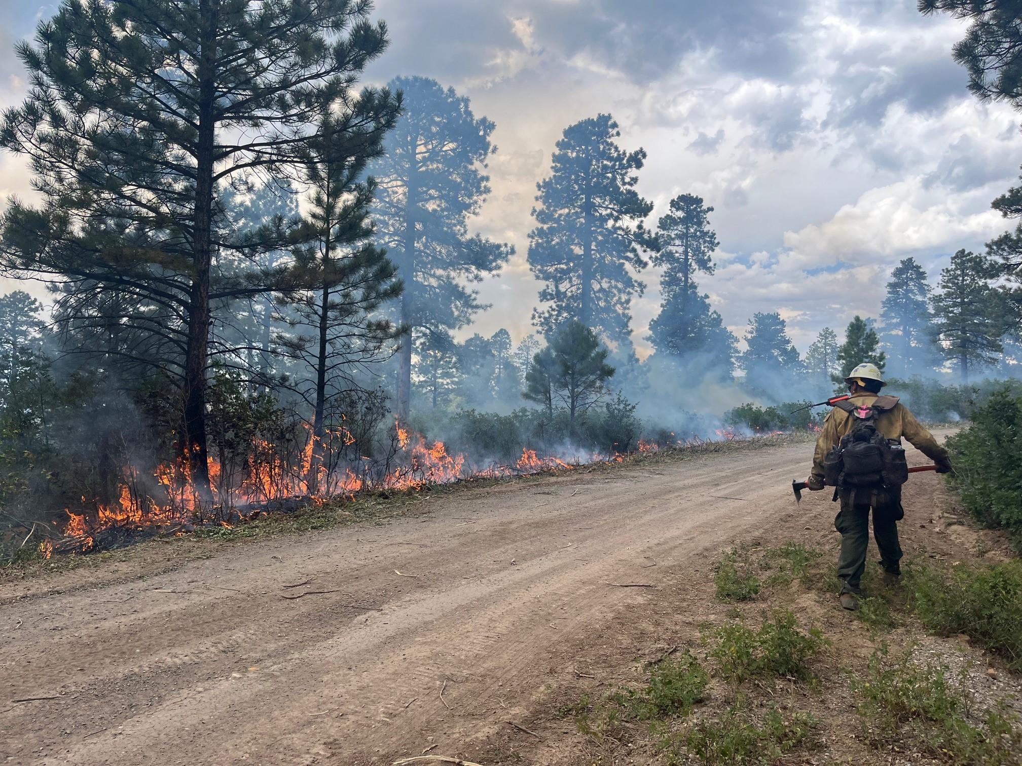 A firefighter monitors fire activity during hand and aerial ignitions