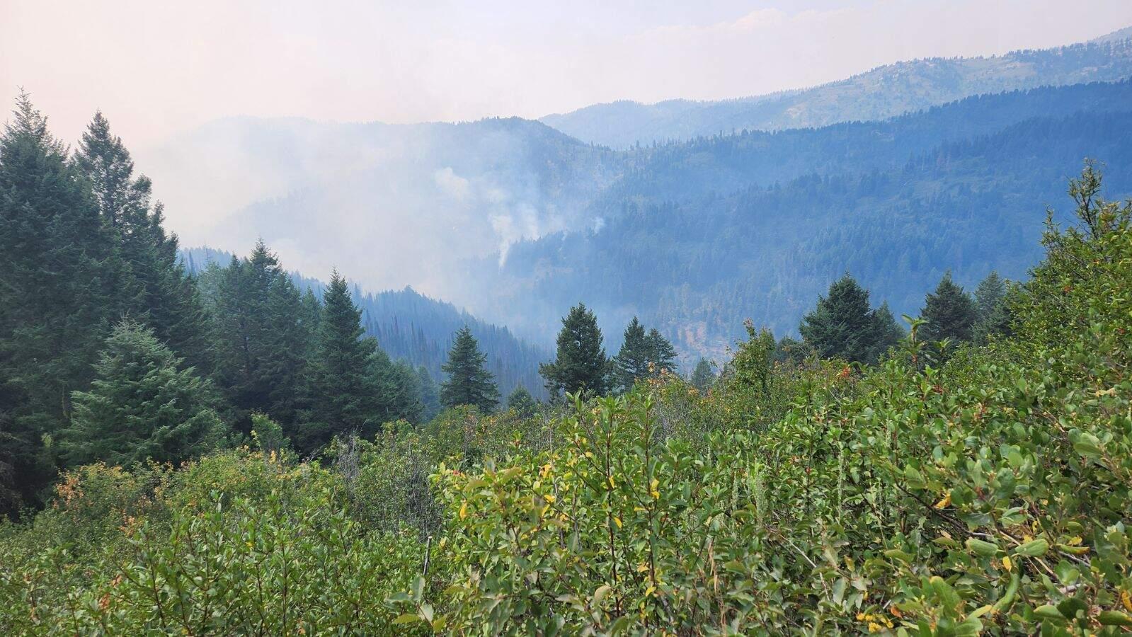 A view of the Anderson Fire from the 555 road looking southwest. 