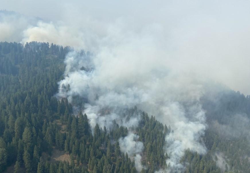 Aerial View of the Nellie Fire