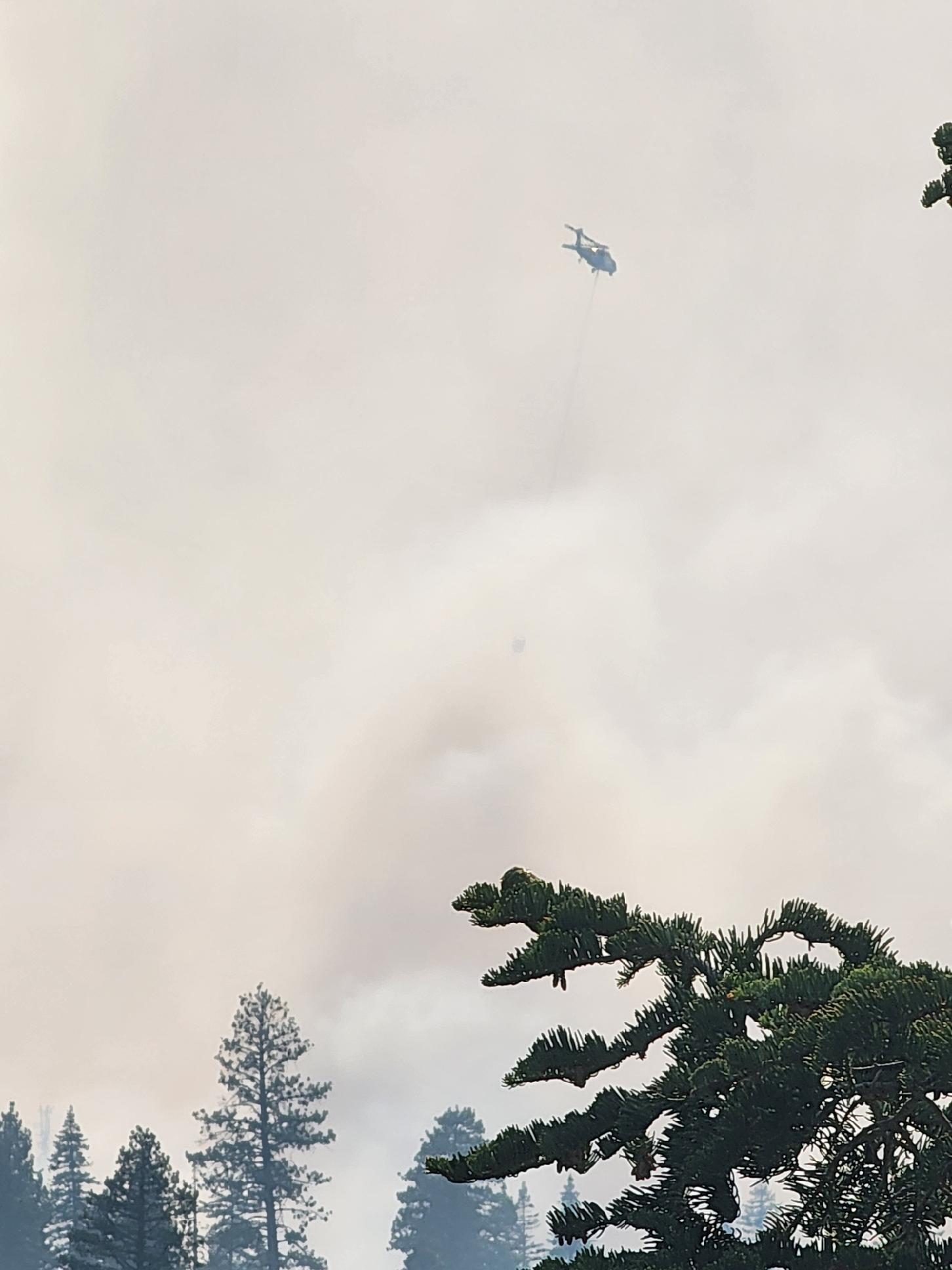 Helicopter flies through dense smoke, conifers seen in the background