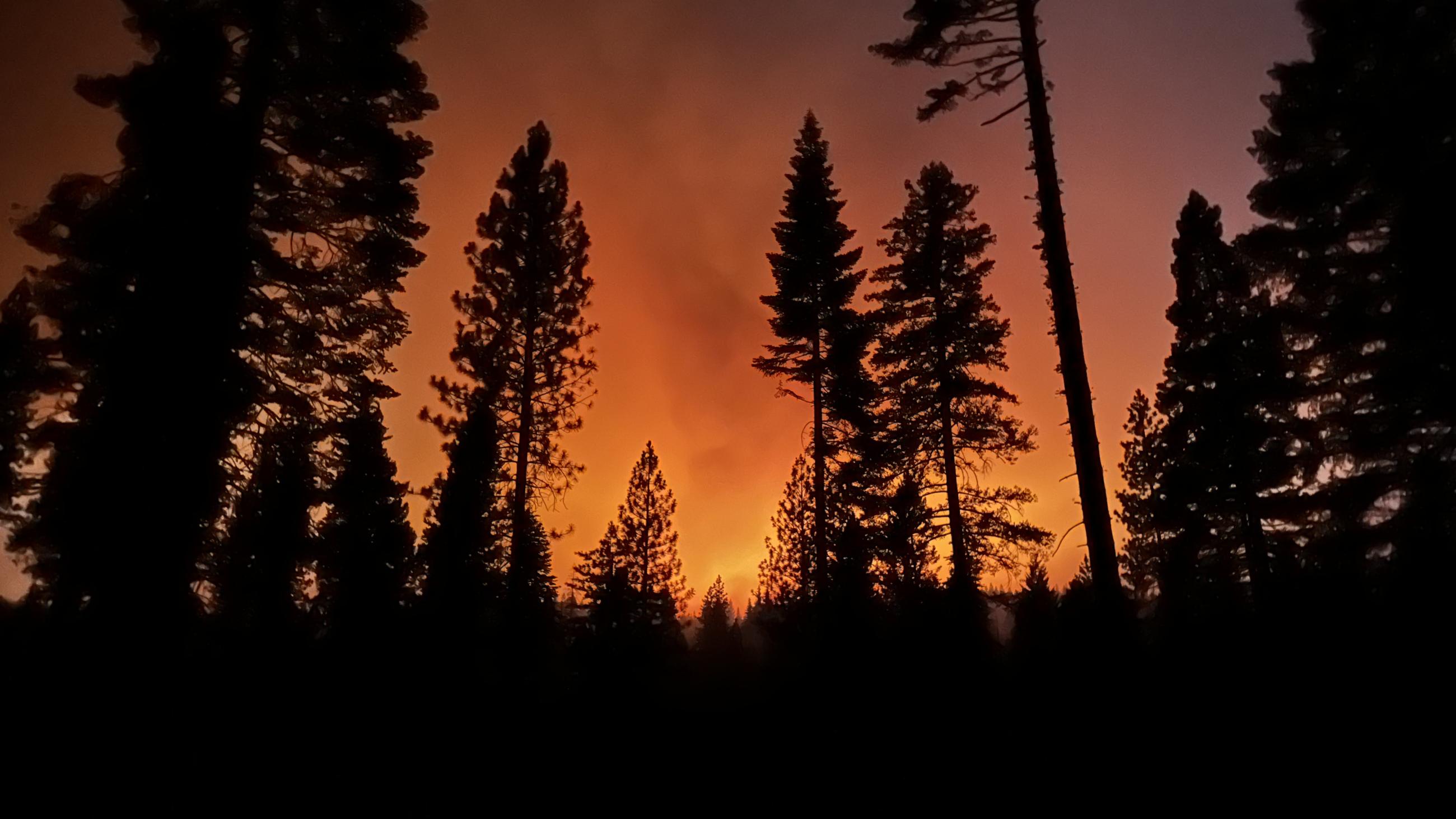 The sky glows orange at night from the Park Fire 8-16-2024