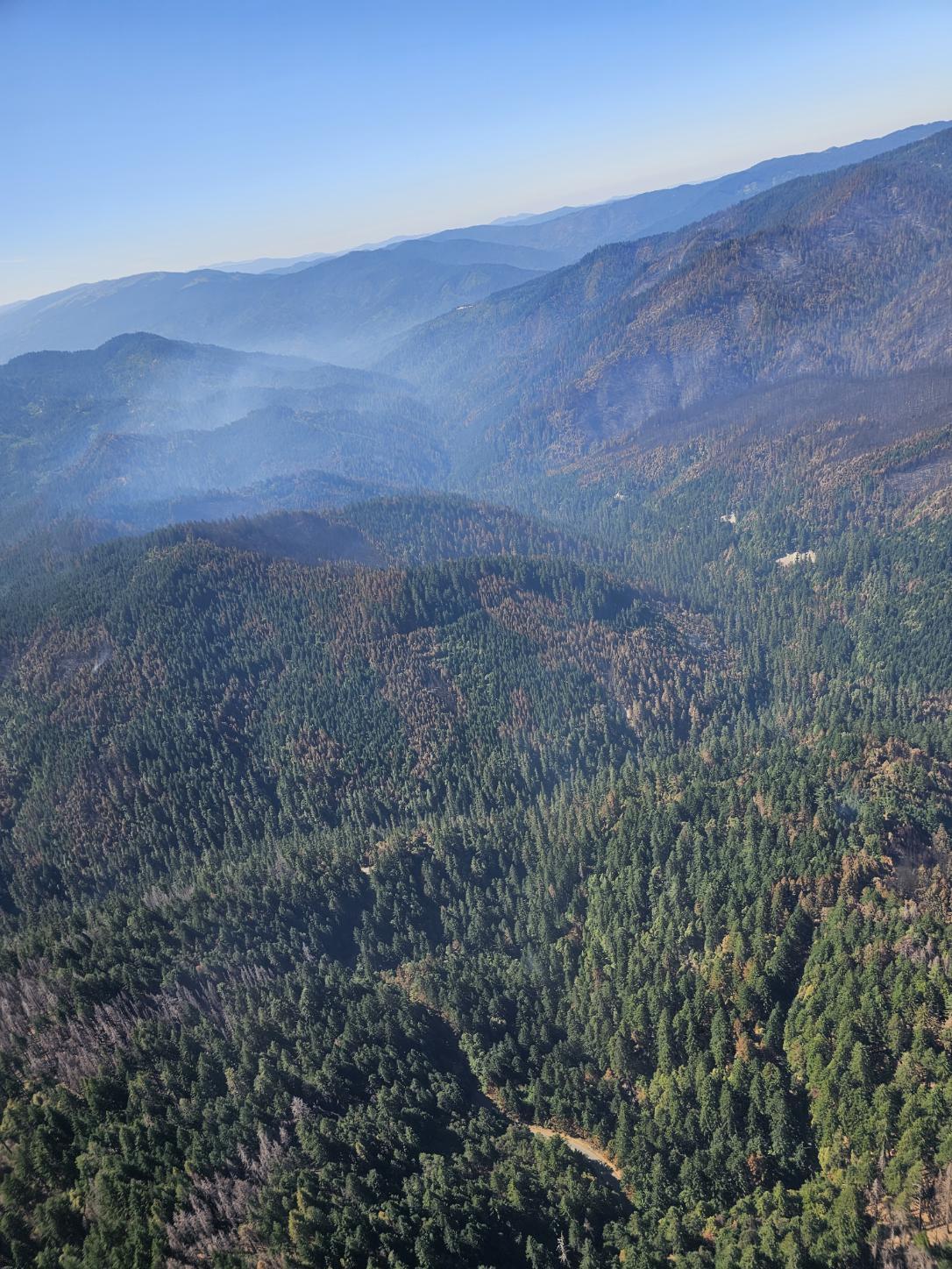 View of Hill Fire from aircraft looking down towards fire area with minimal smoke. 