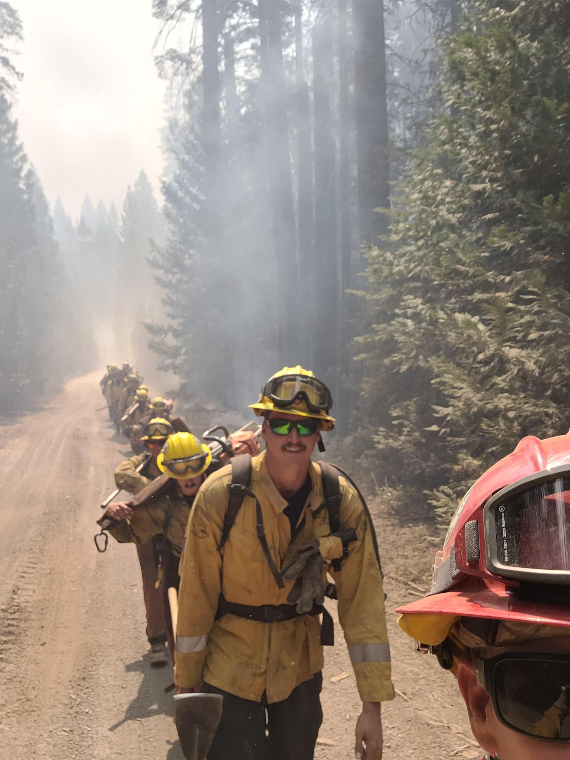 Firefighters in yellow shirts, green pants, and yellow hard hats march carrying packs and tools down a dusty forest road surrounded by tall live conifer trees