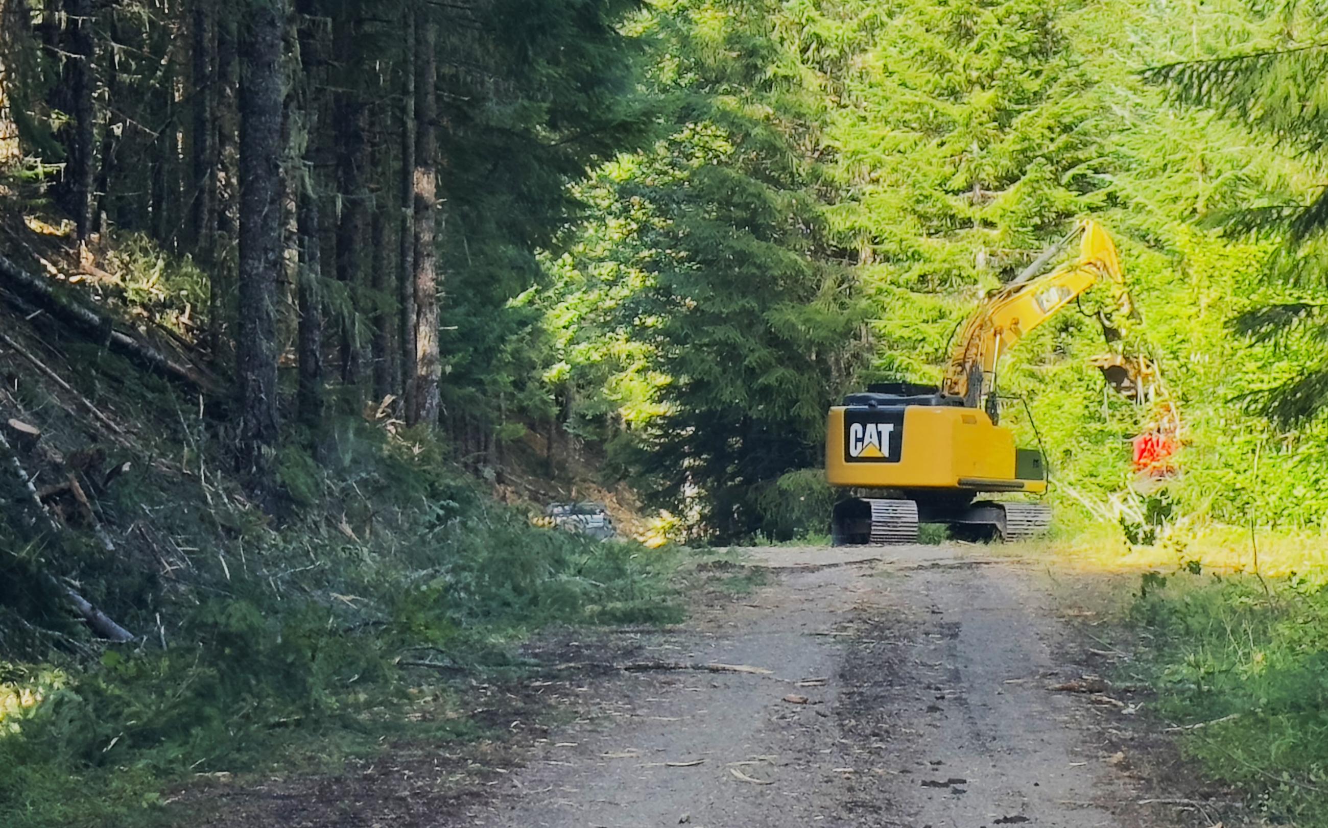 Heavy equipment can be seen operating on a roadway in the distance with heavy timber on the opposite side of the road